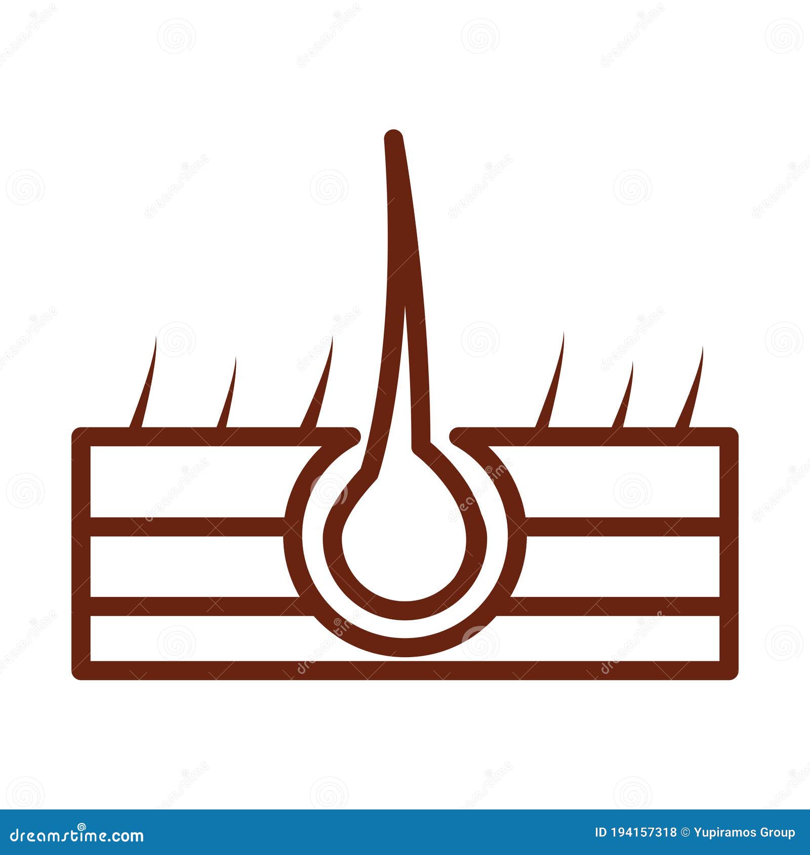 Human Body Structure of the Hair Follicle Anatomy Organ Health Line Icon Style Stock Vector - Illustration of science, icon: 194157318 Human Body Structure of the Hair Follicle Anatomy Organ Health Line Icon Style Stock Vector - Illustration of science, icon: 194157318