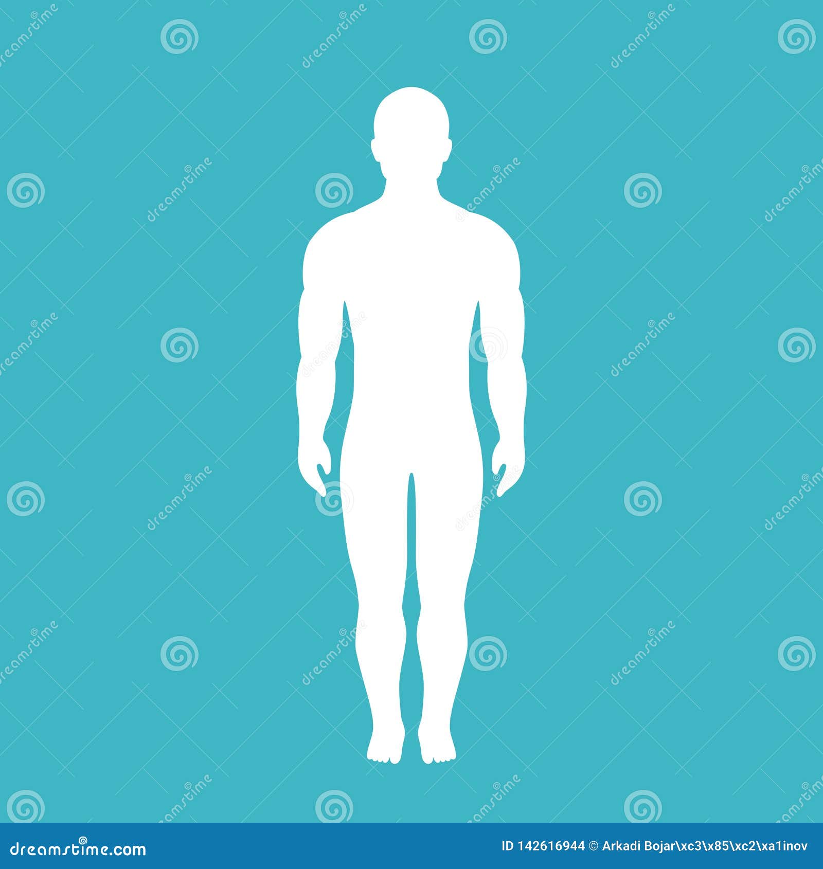 Human Body Front View Outline Stock Illustrations – 1,182 Human