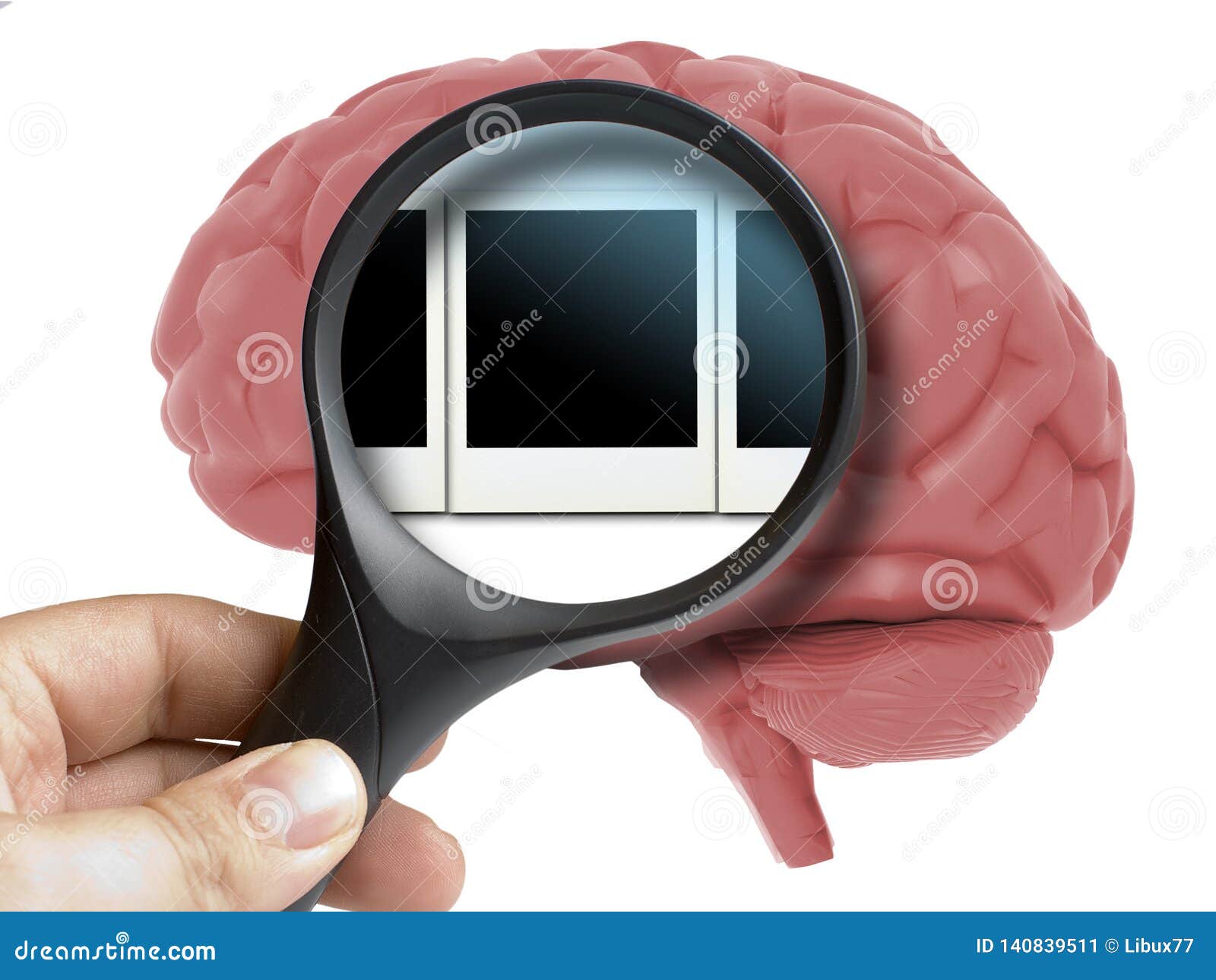human brain analyzed with magnifying memories polaroid snapshots inside 
