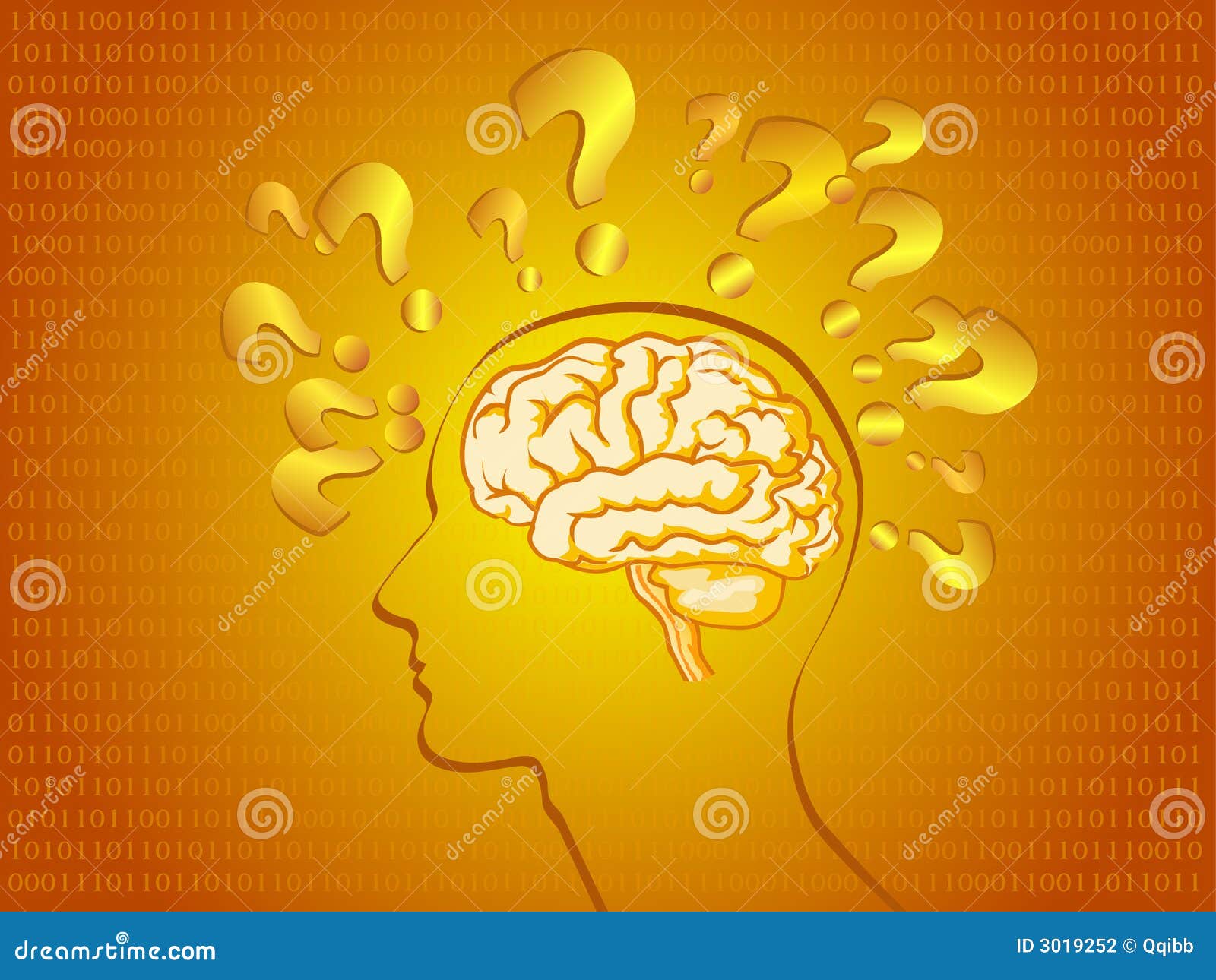 Human Brain in Bright Orange Stock Vector Illustration of anatomical