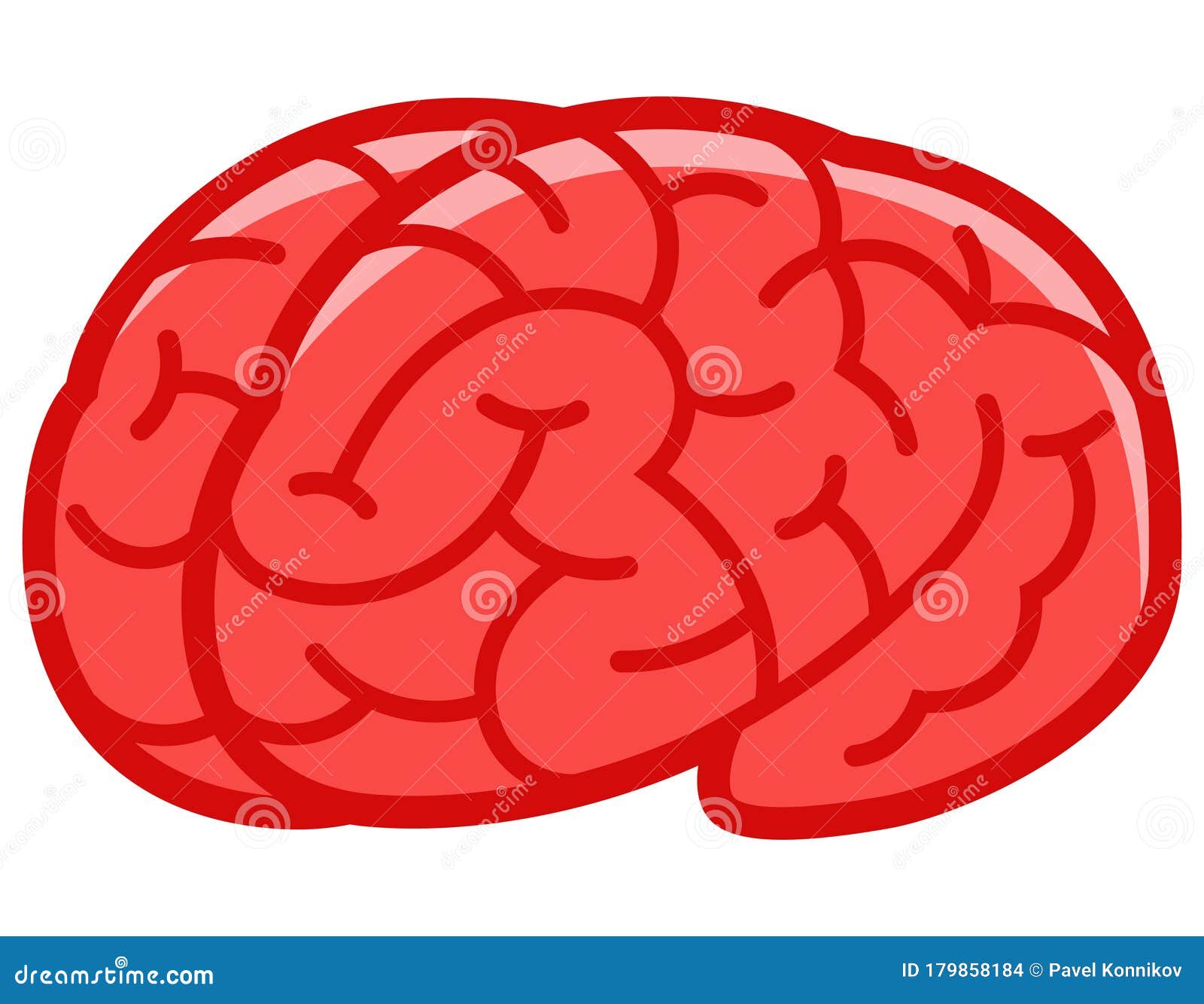 Human Brain in Cartoon Style. Stock Vector - Illustration of cerebellum, psychology: 179858184 Human Brain in Cartoon Style. Stock Vector - Illustration of cerebellum, psychology: 179858184