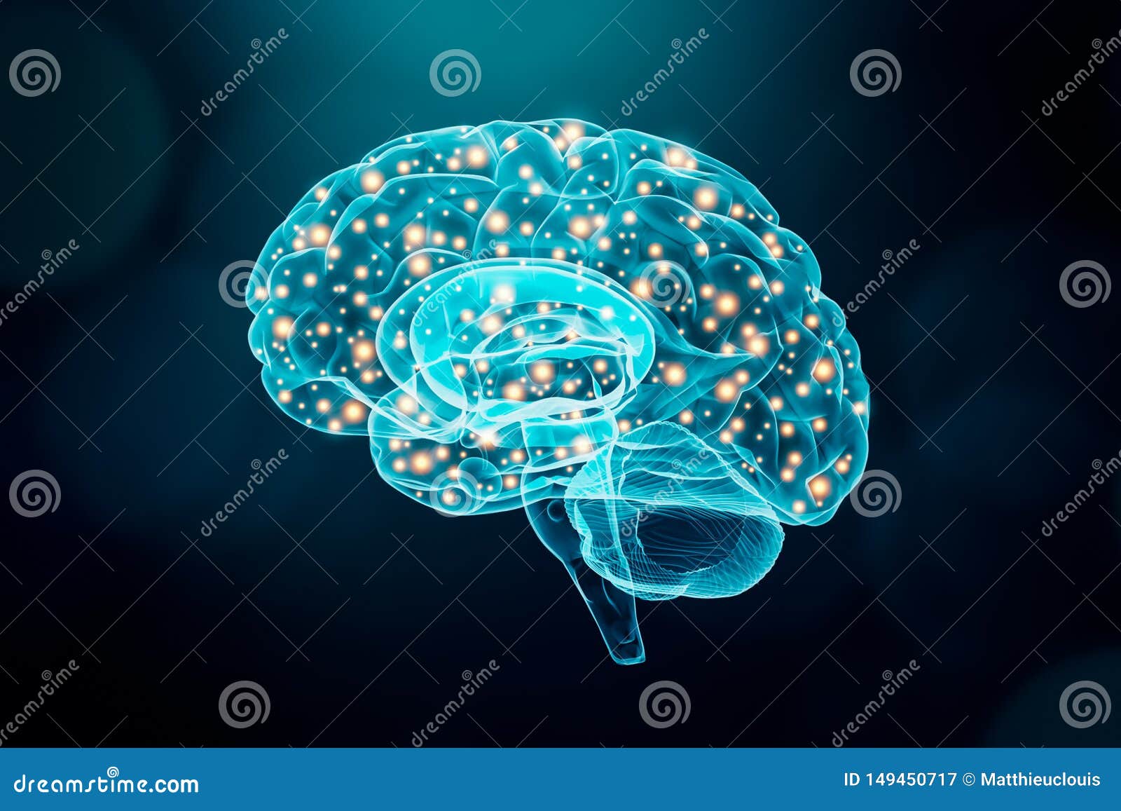 human brain. cerebral or neuronal activity concept. science, cognition, psychology, memory conceptual 