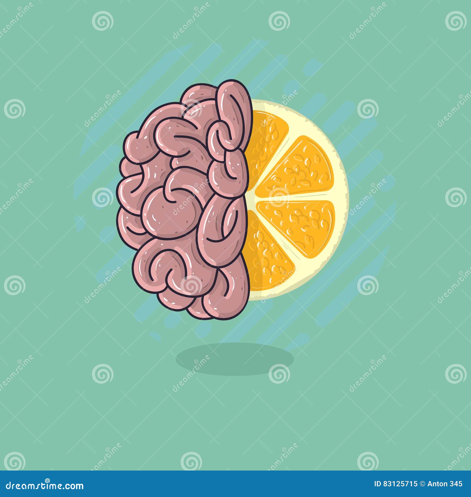 List 99+ Pictures how big is a human brain compared to fruit Completed
