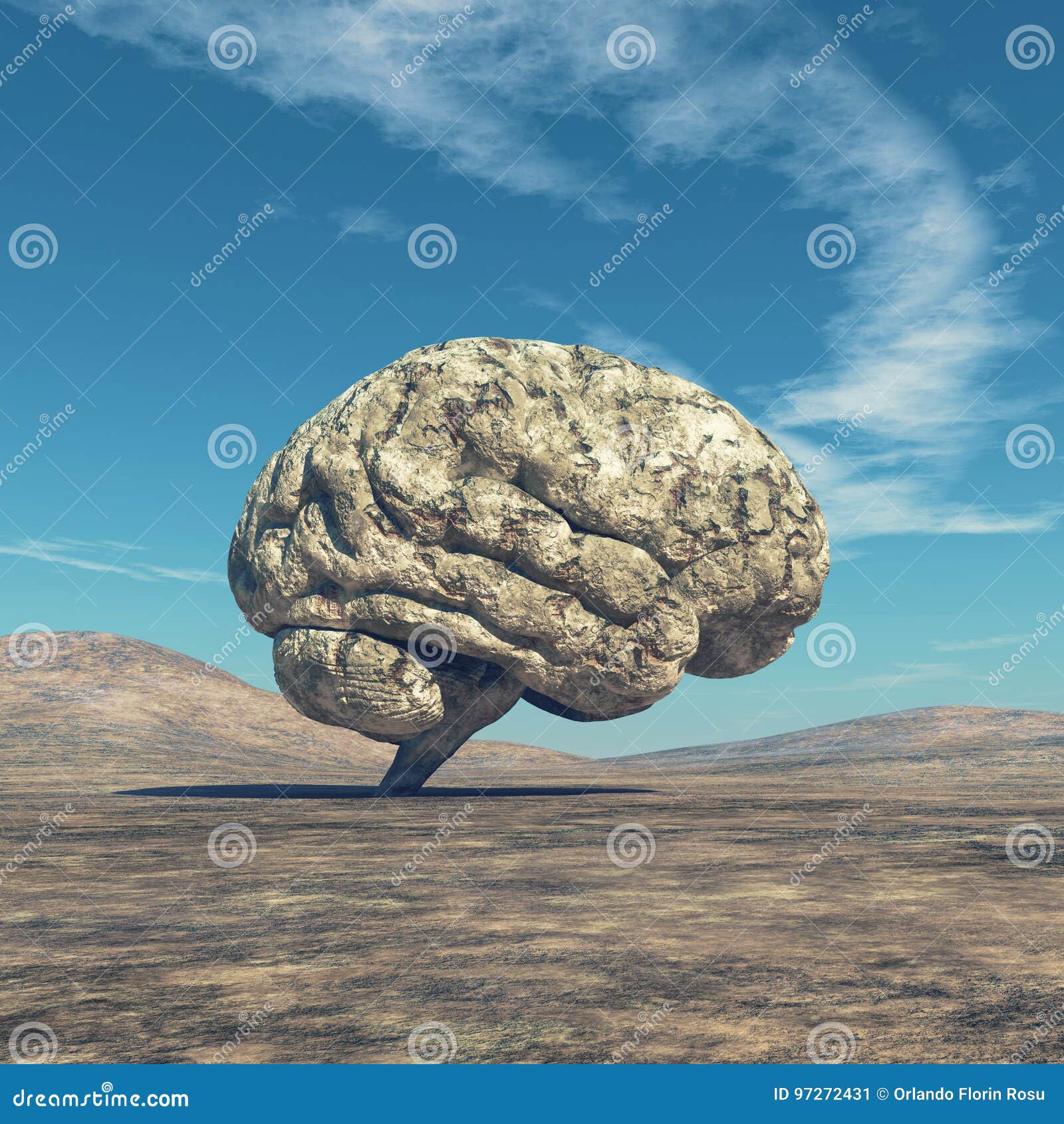 the human brain.