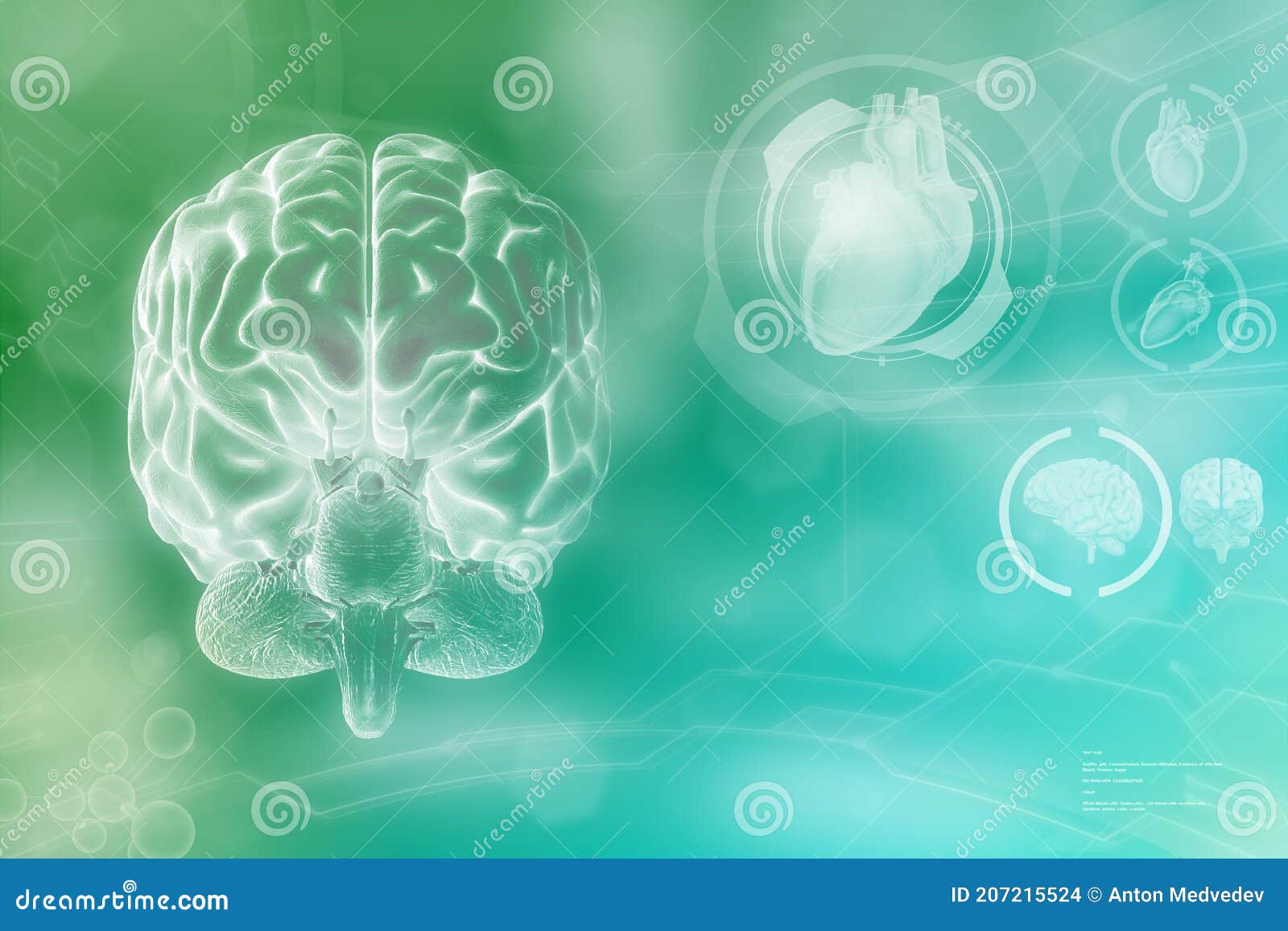 Human Brain, Nerve Discovery Concept - Very Detailed Electronic Texture ...