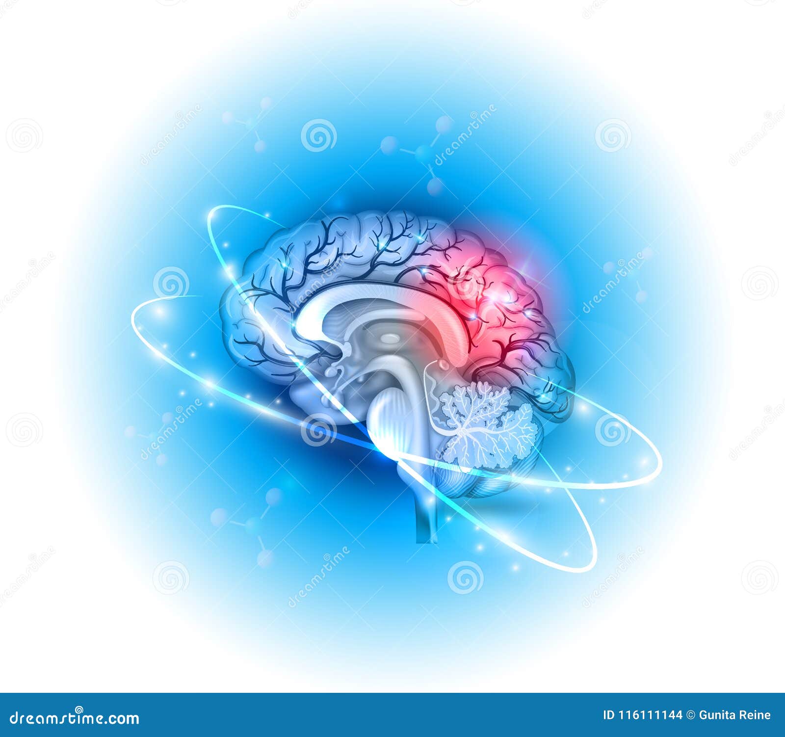 Human brain treatment stock vector. Illustration of human - 116111144