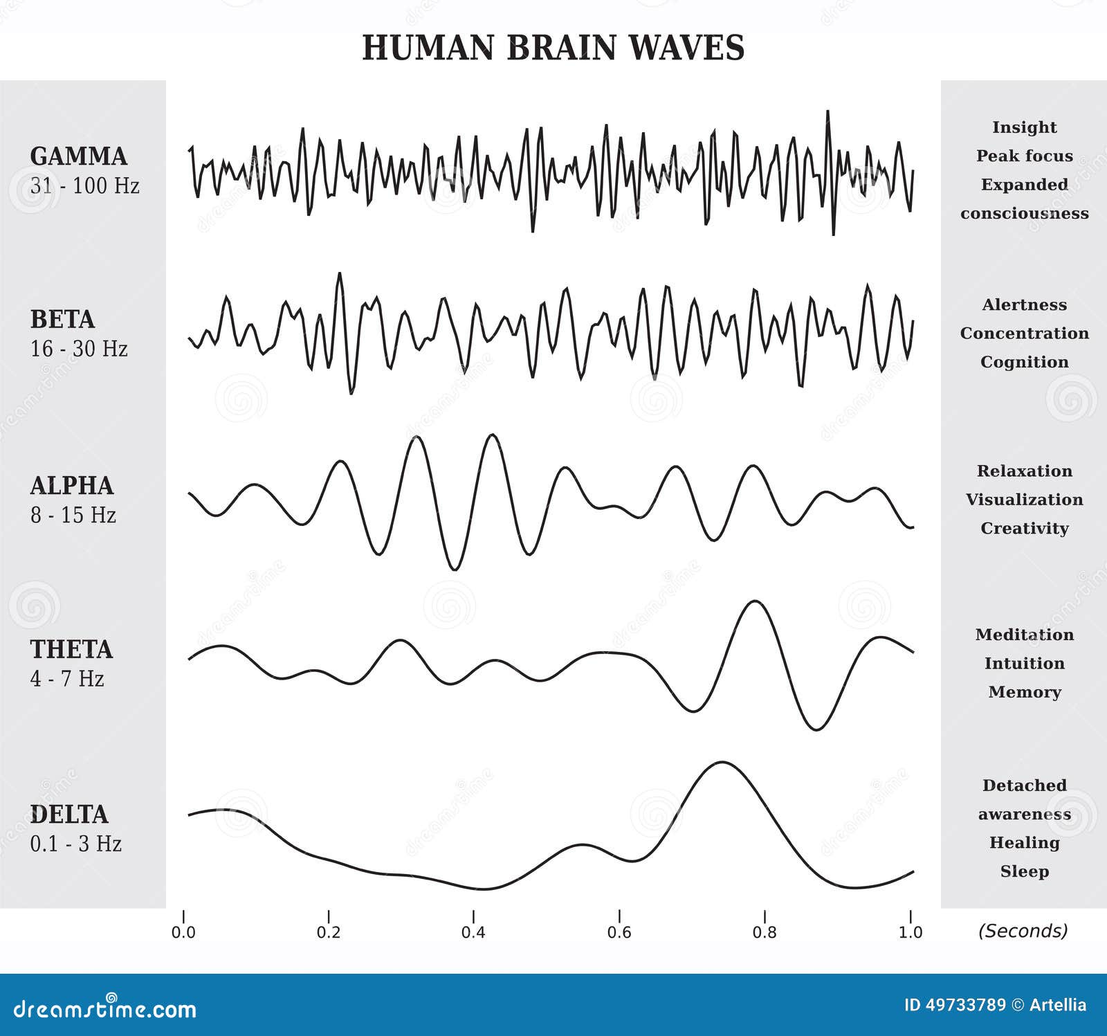 Brainwave Chart