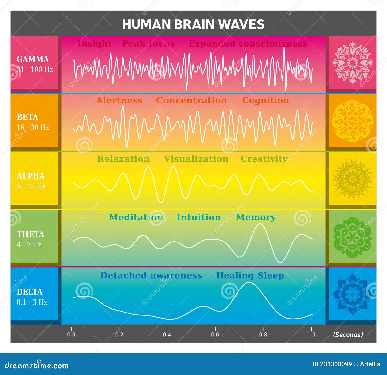 human brain waves diagram in rainbow colors with explanations - alpha beta gamma theta delta frequencies and mandalas