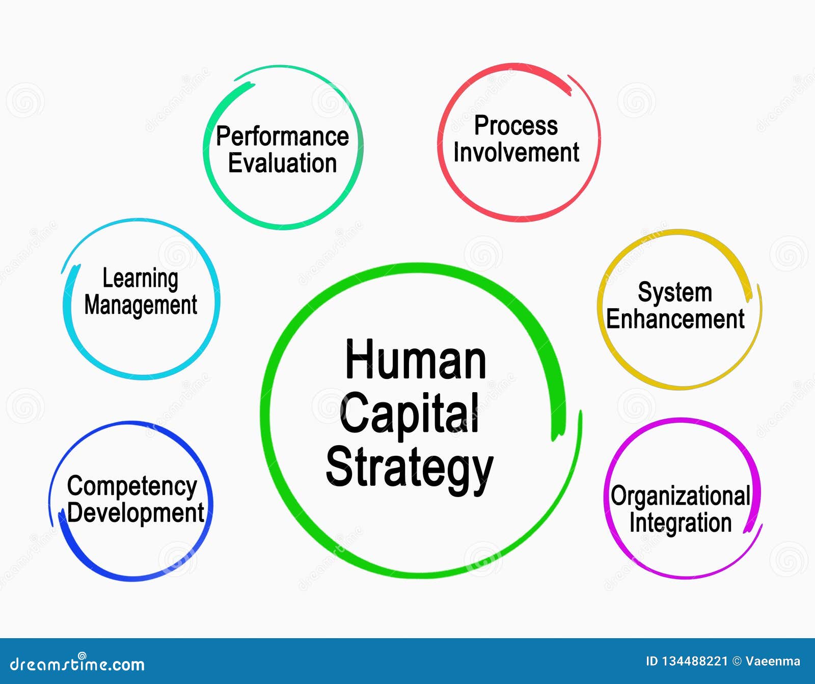 Human Capital Strategy stock illustration. Illustration of ...
 Human Capital
