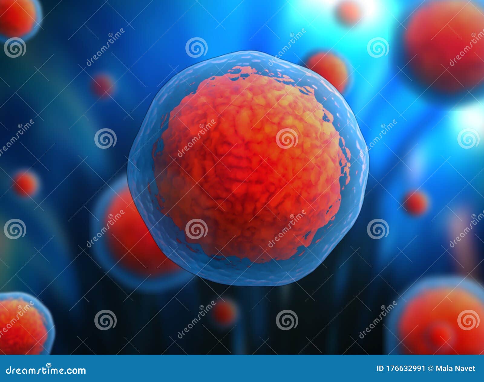 Human Cell or Animal Cell. 3d Stem Cell. Stock Illustration - Illustration  of eukaryotic, anatomy: 176632991