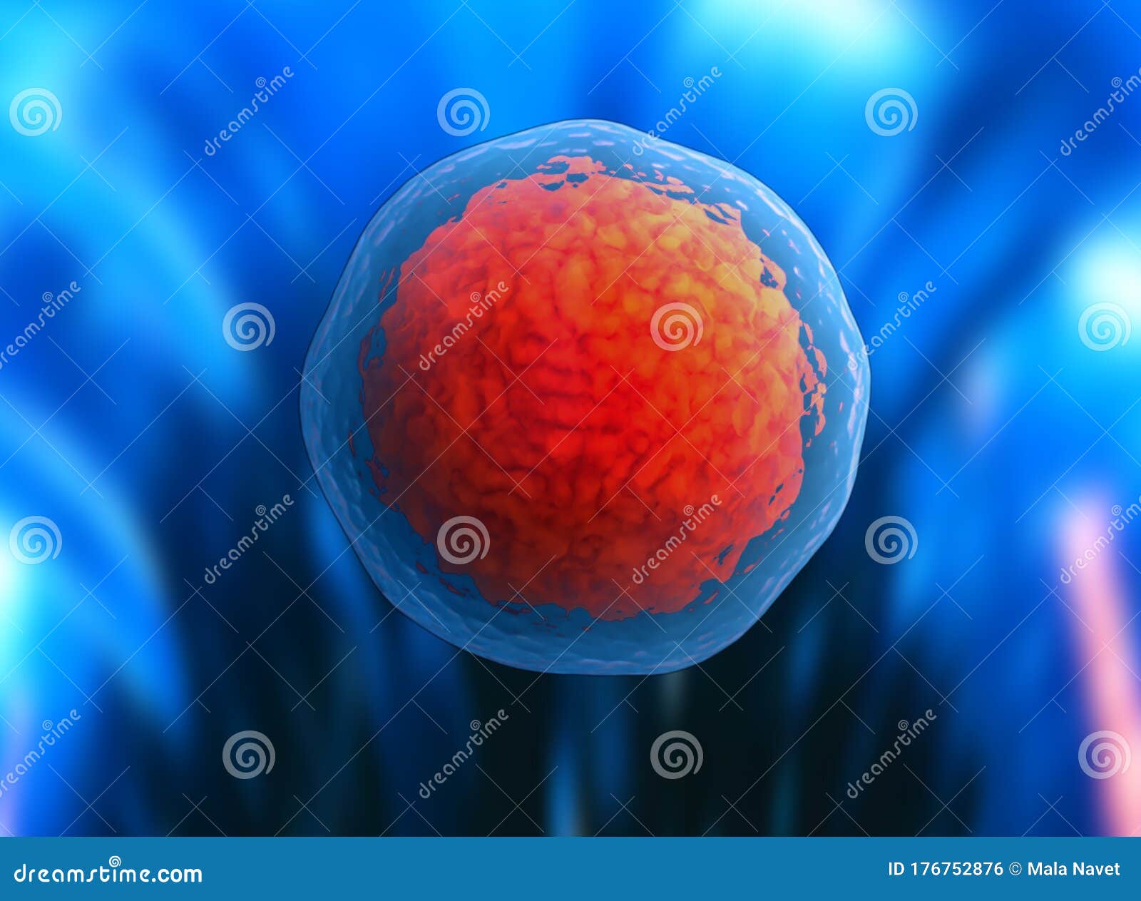 Human Cell or Animal Cell. 3d Stem Cell. Stock Illustration - Illustration  of cell, nucleolus: 176752876