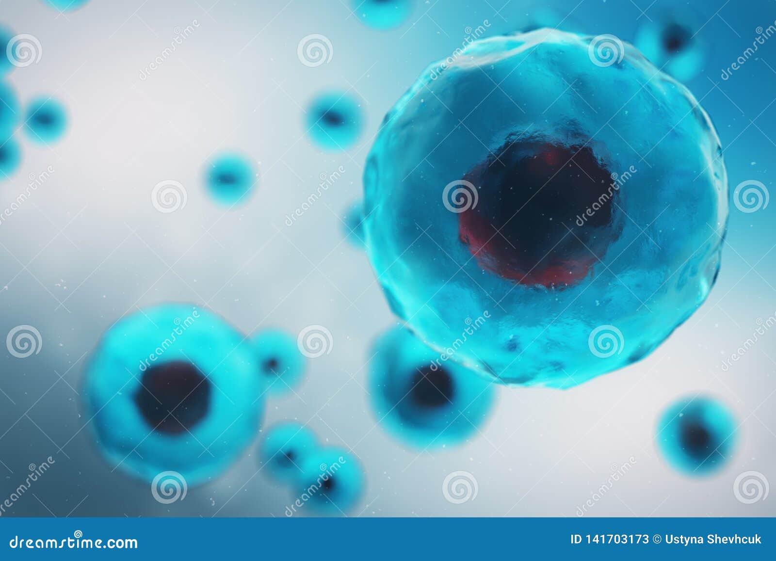 Human Cells or Animal. Cell Colony Stock Illustration - Illustration of  microscopic, background: 141703173