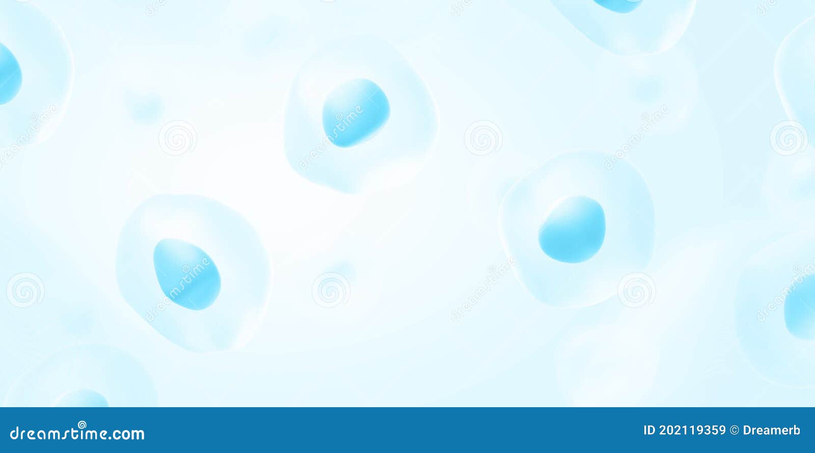human cells on light blue background. nucleus and cytoplasm.