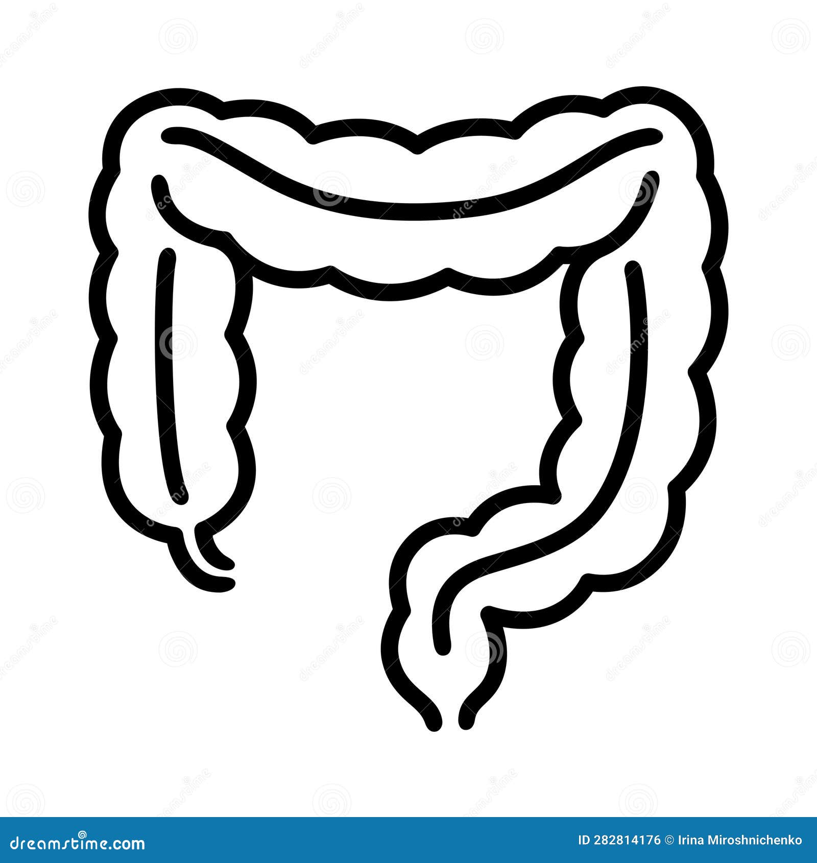 Colon intestine line icon stock vector. Illustration of sign - 282814176