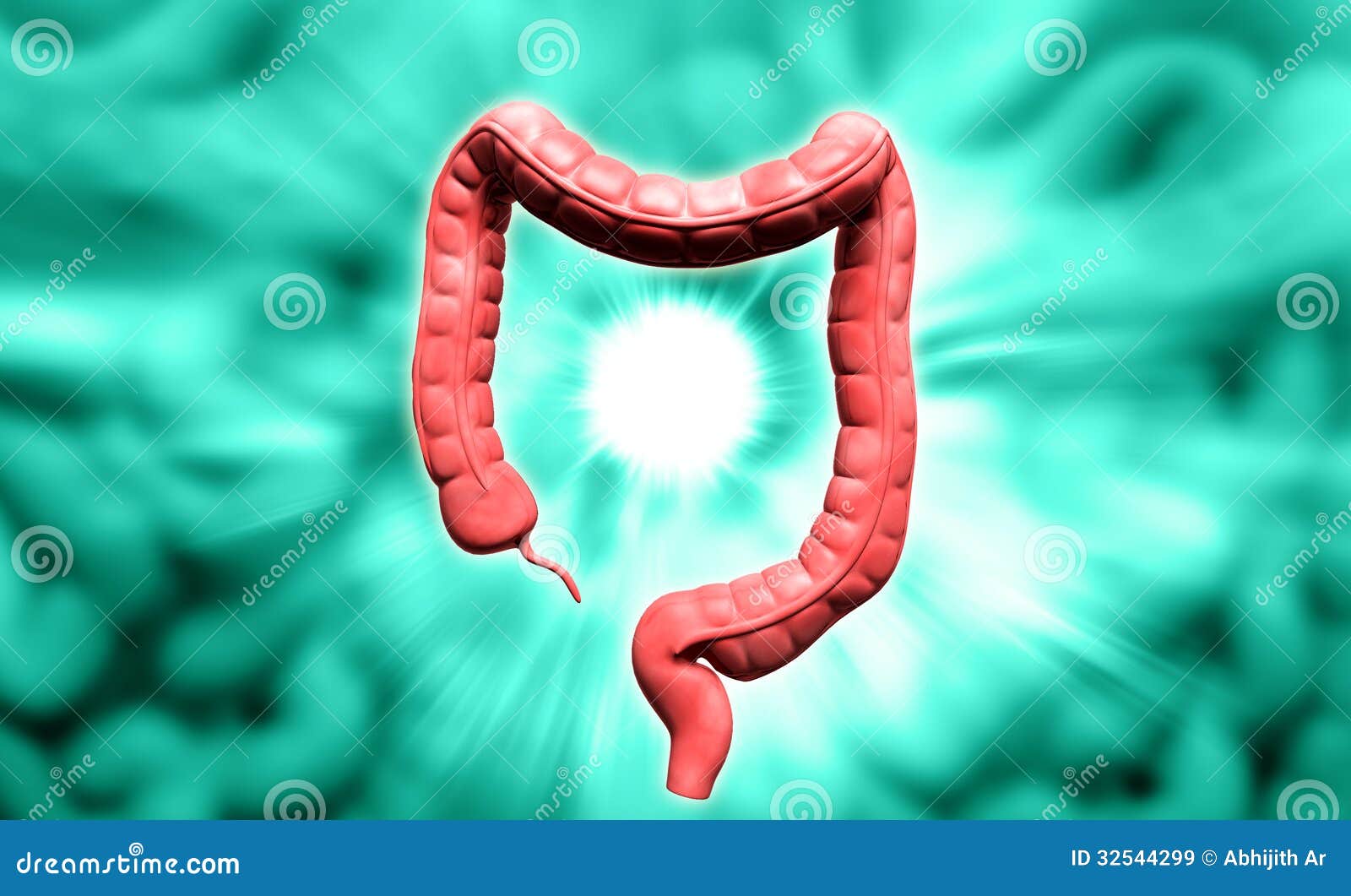 Human digestive system stock illustration. Illustration of human - 32544299