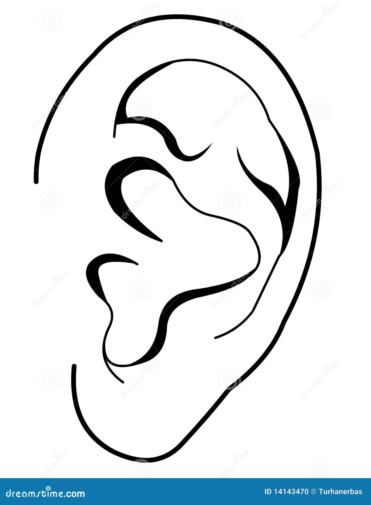 ear black and white clip art