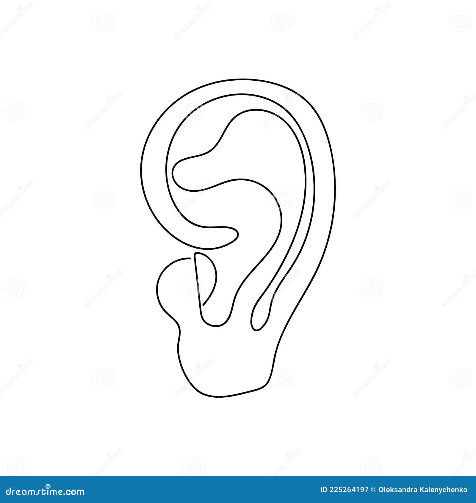 human ear one line art. continuous line drawing of human, organs, ear, hearing organ, auricle.
