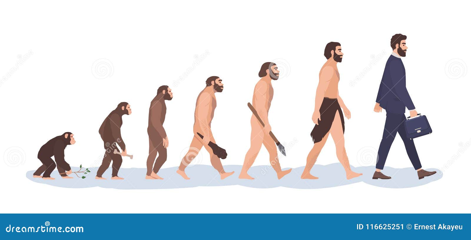 human evolution stages. evolutionary process and gradual development visualization from monkey or primate to businessman