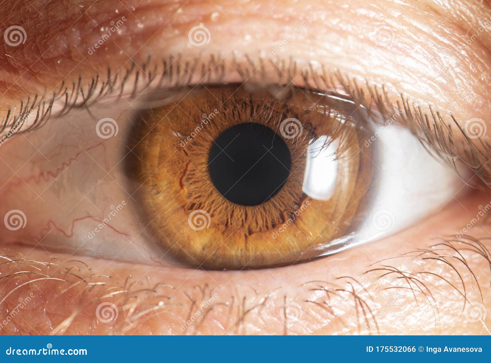 human eye close up