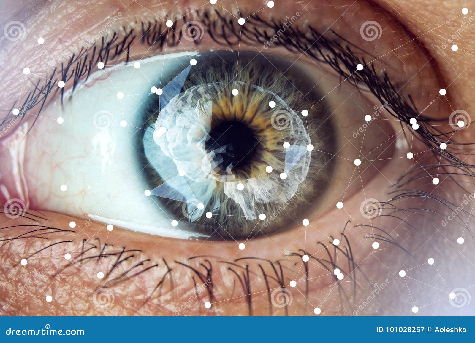 The Human Eye with the Image of the Brain in the Pupil. Concept of ...