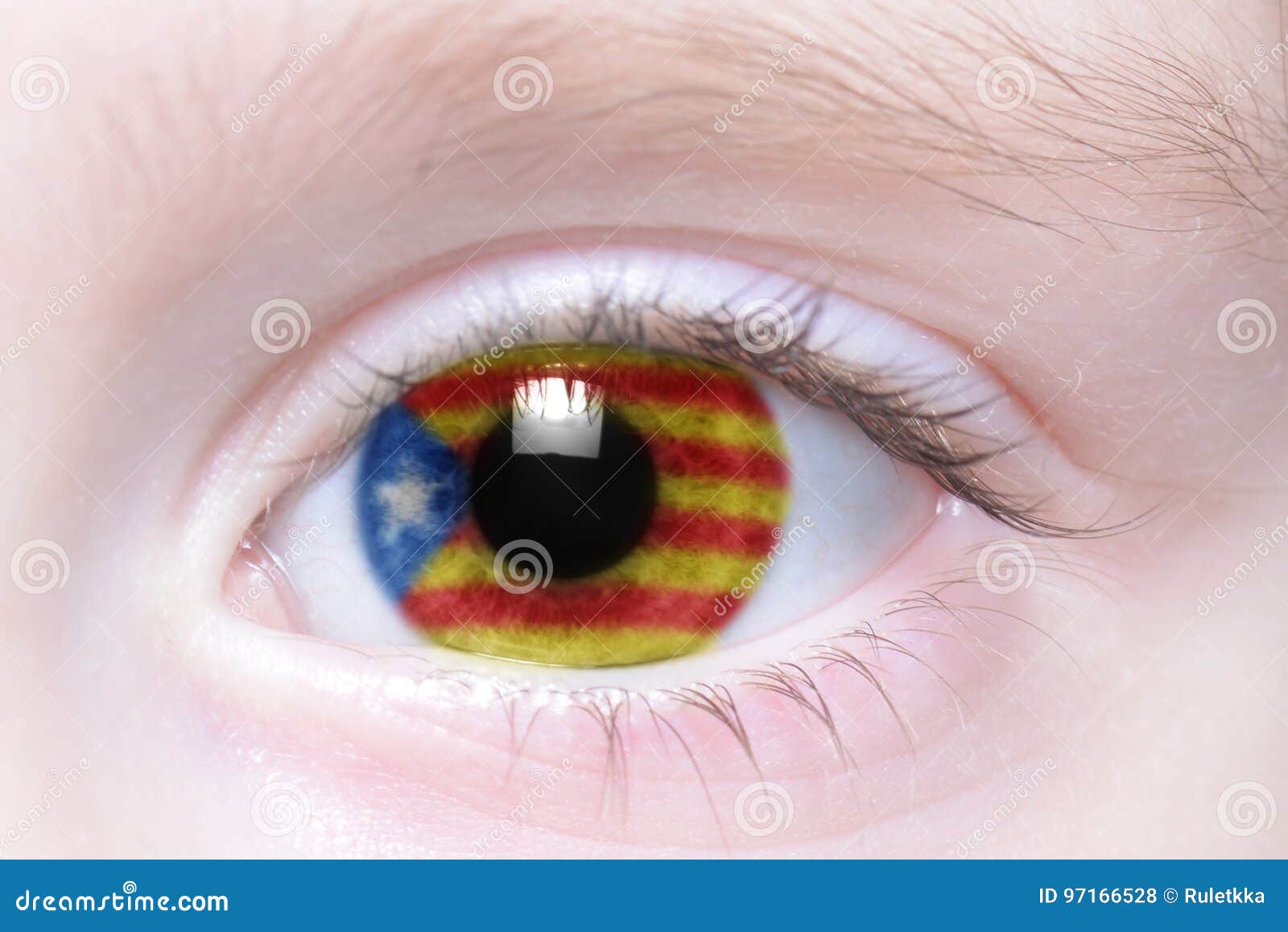 human eye with national flag of catalonia