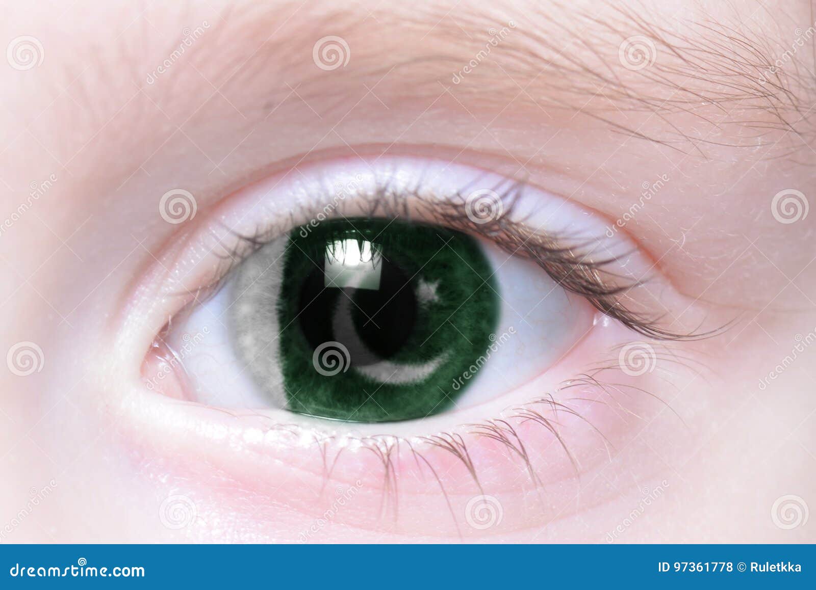 Human Eye with National Flag of Pakistan Stock Photo Image of nice