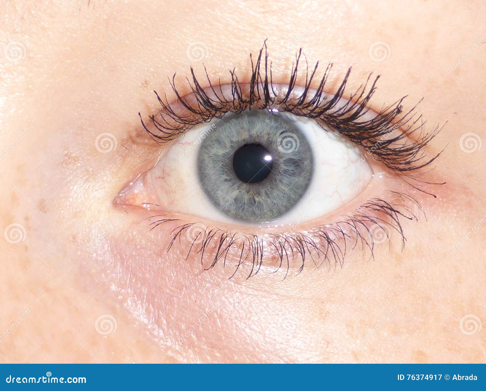 Human eye stock image. Image of lashes, iris, shadow 76374917
