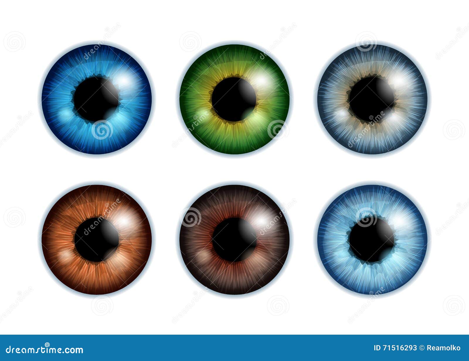 human eyeballs iris pupils set - assorted colors.