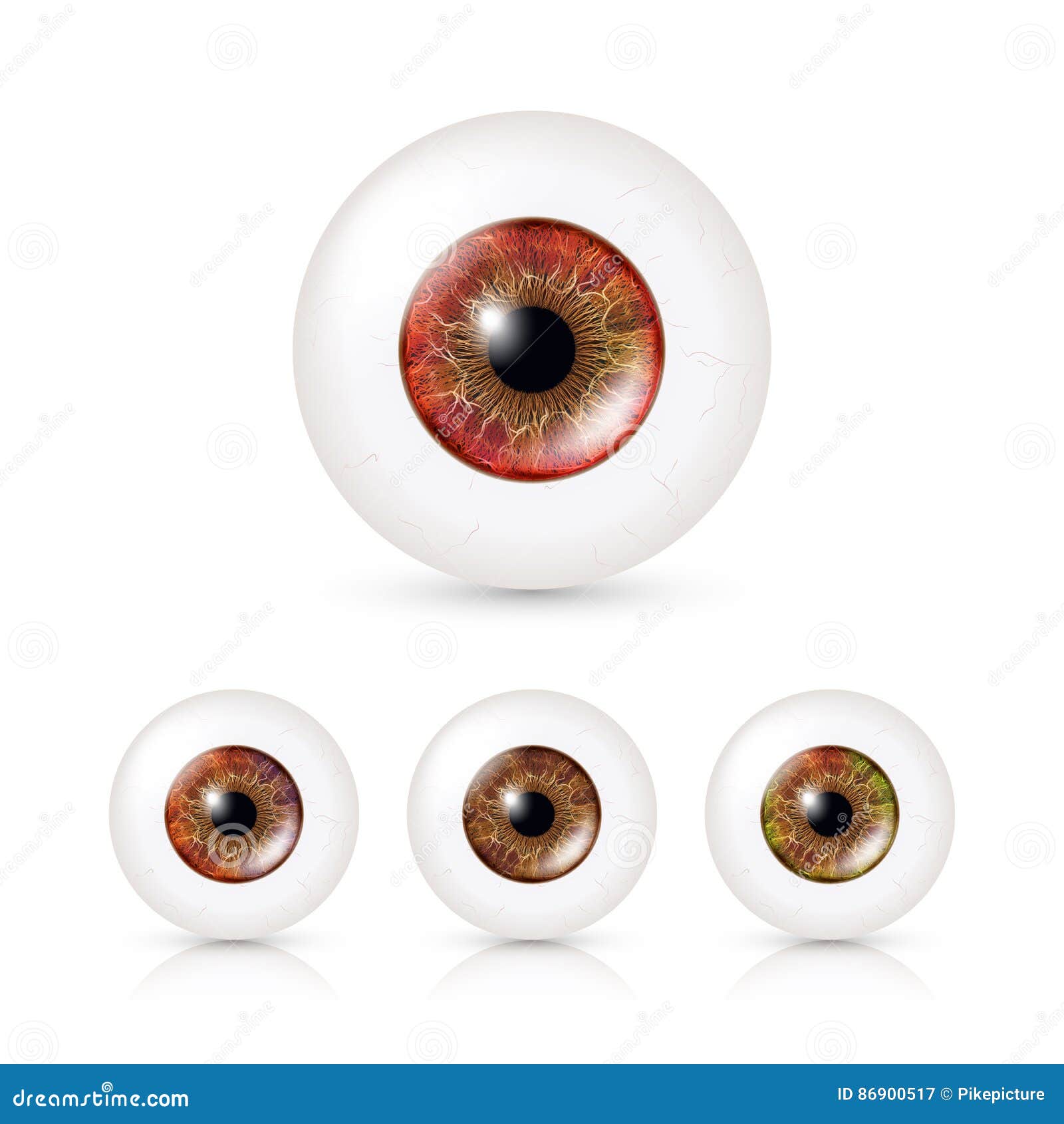 human eyeballs set with big irises in colour.   of 3d glossy detailed eye with shadow and reflection