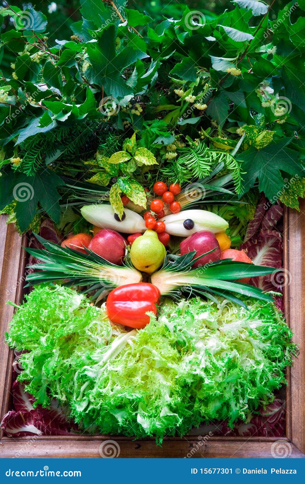 Human Face of Vegetables and Fruits. Stock Image Image of summer