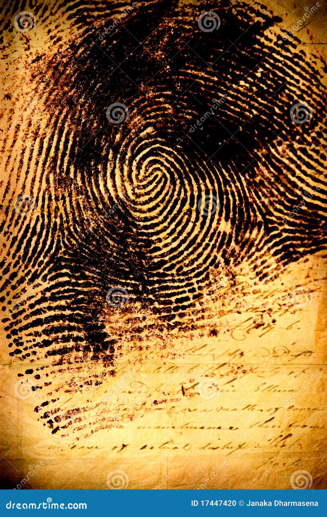 Human fingerprint stock photo Image of frame crumpled 17447420