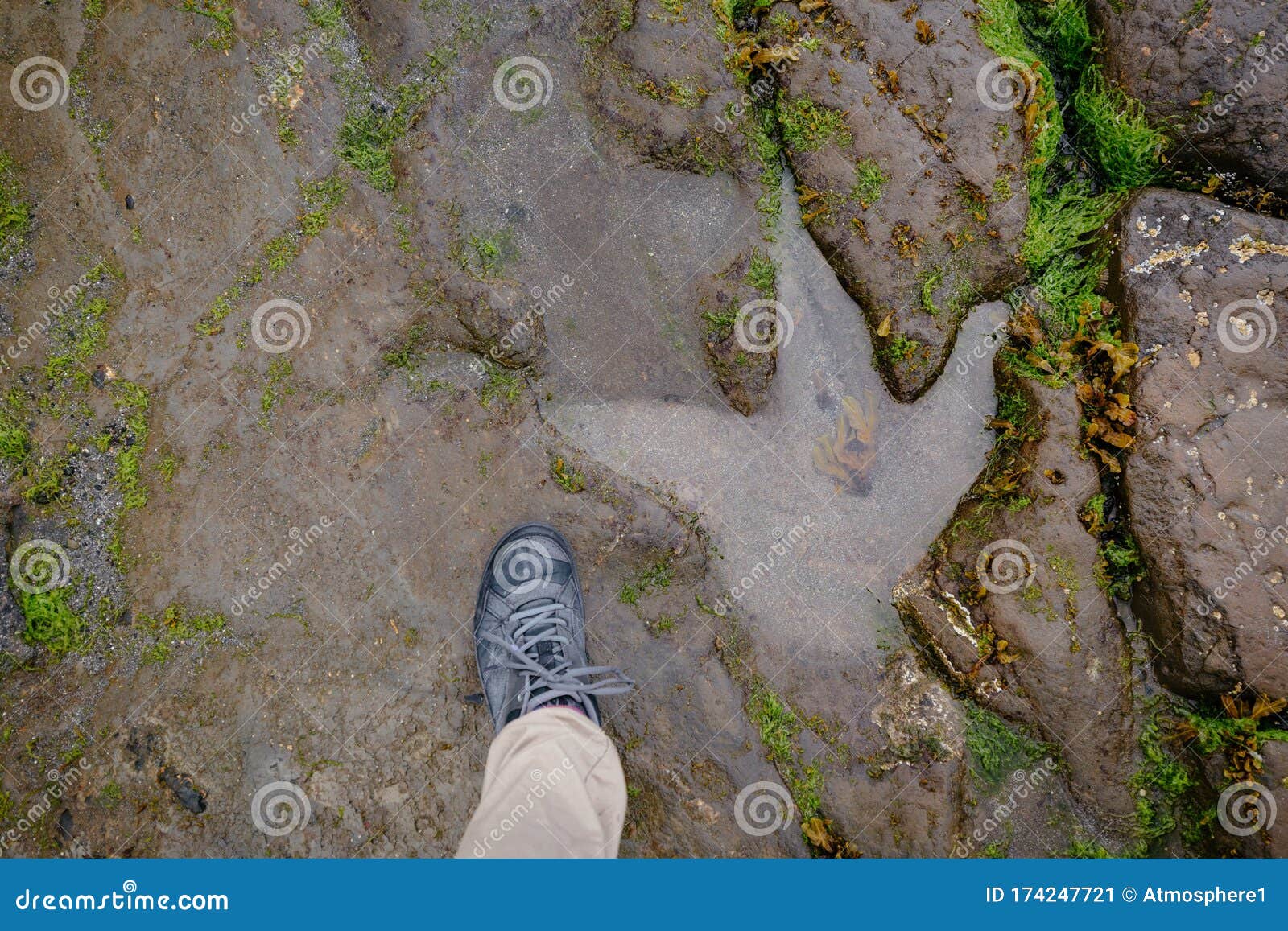human foot compared to a dinosaur footprint on the an corran beach, near skye, portree