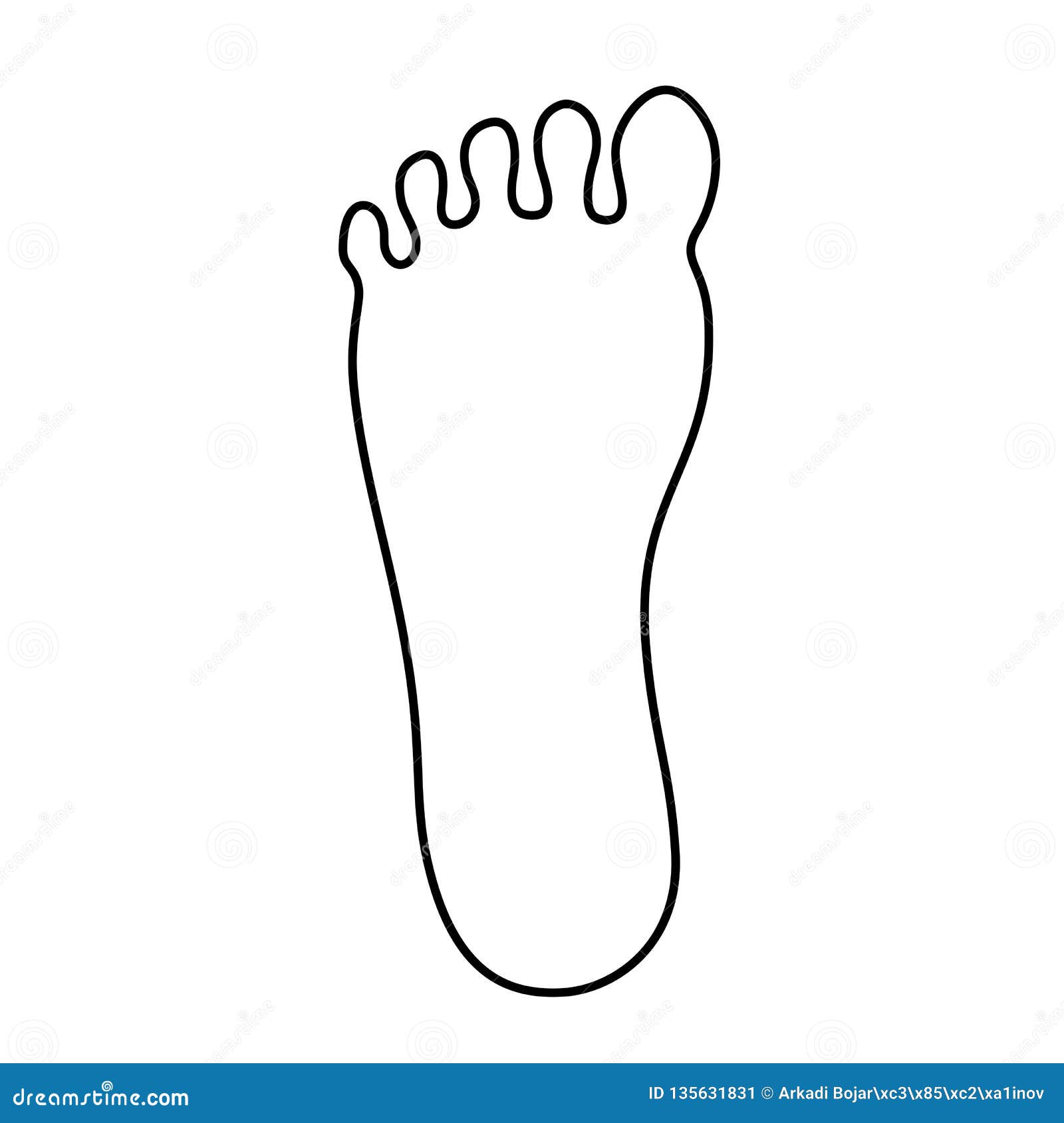 Anatomical Drawing Of The Foot Cartoon Vector | CartoonDealer.com #74768465