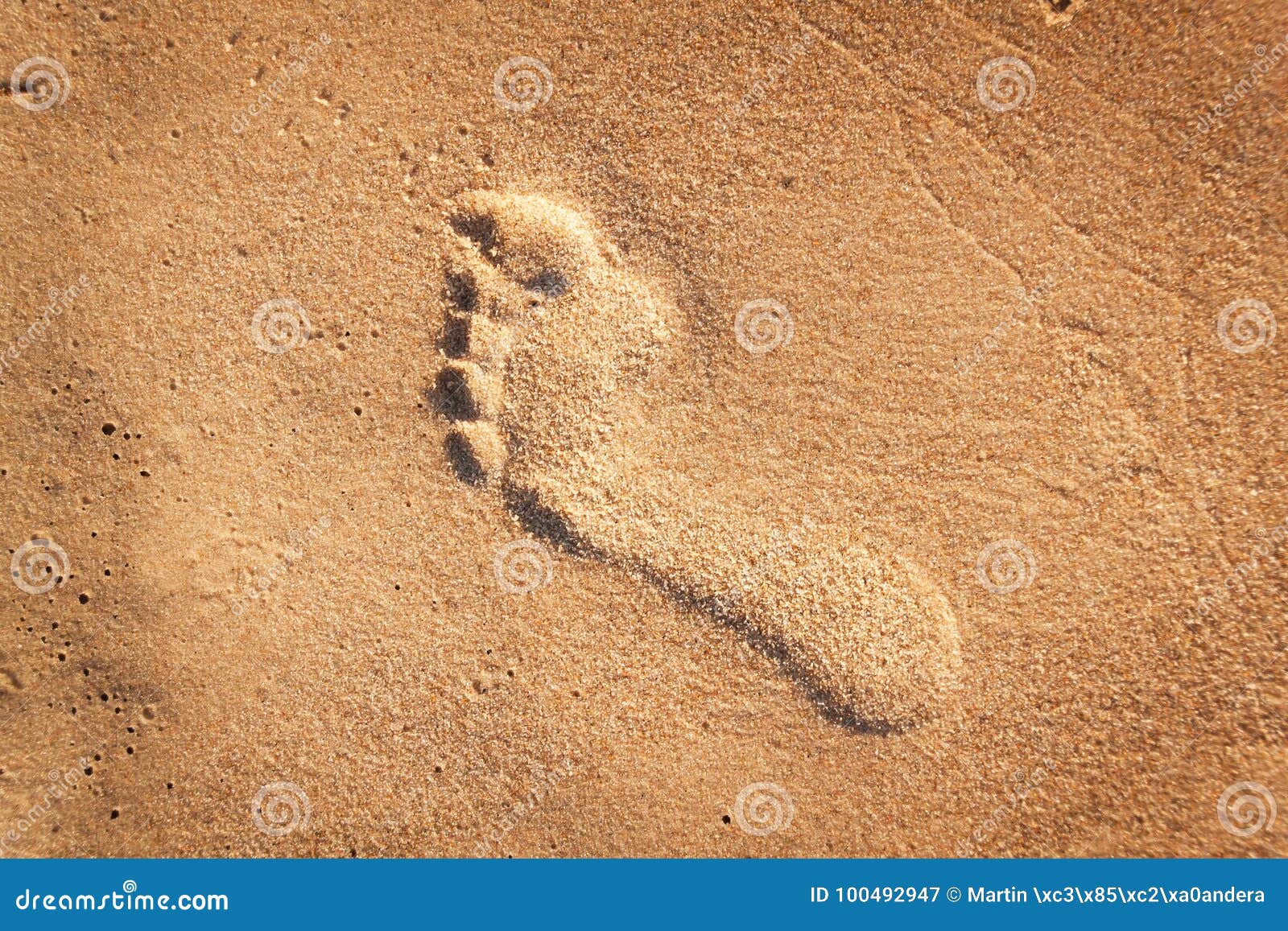 Human Footprint on the Beach Sand. Memories of the Sea. Greetings from ...