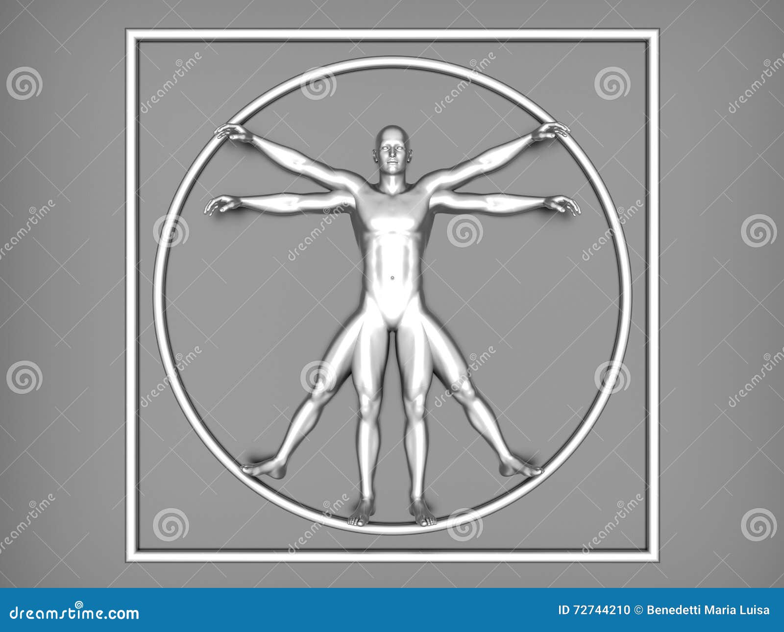 Human Form Stock Photo 72744210