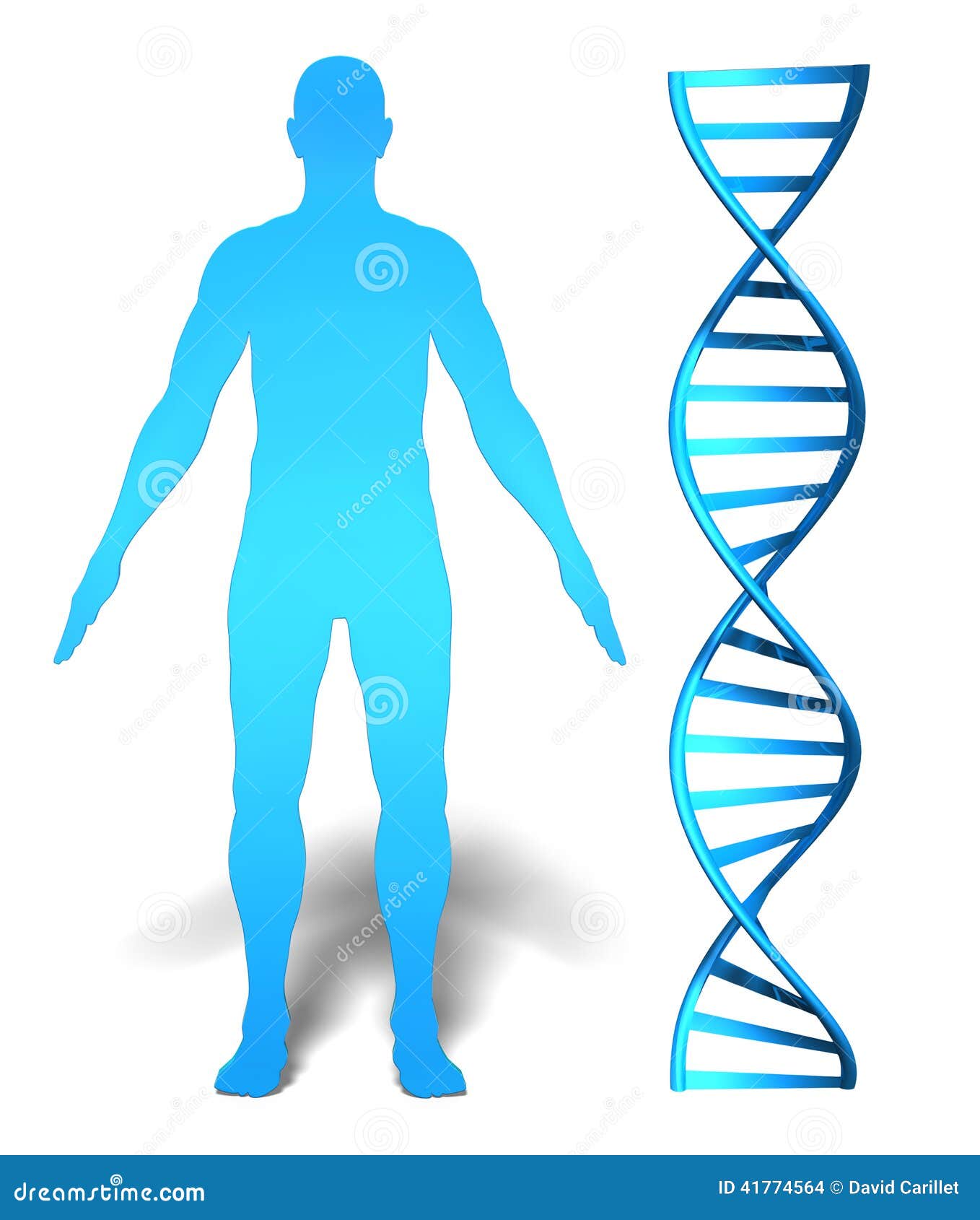 human genome clip art - photo #12