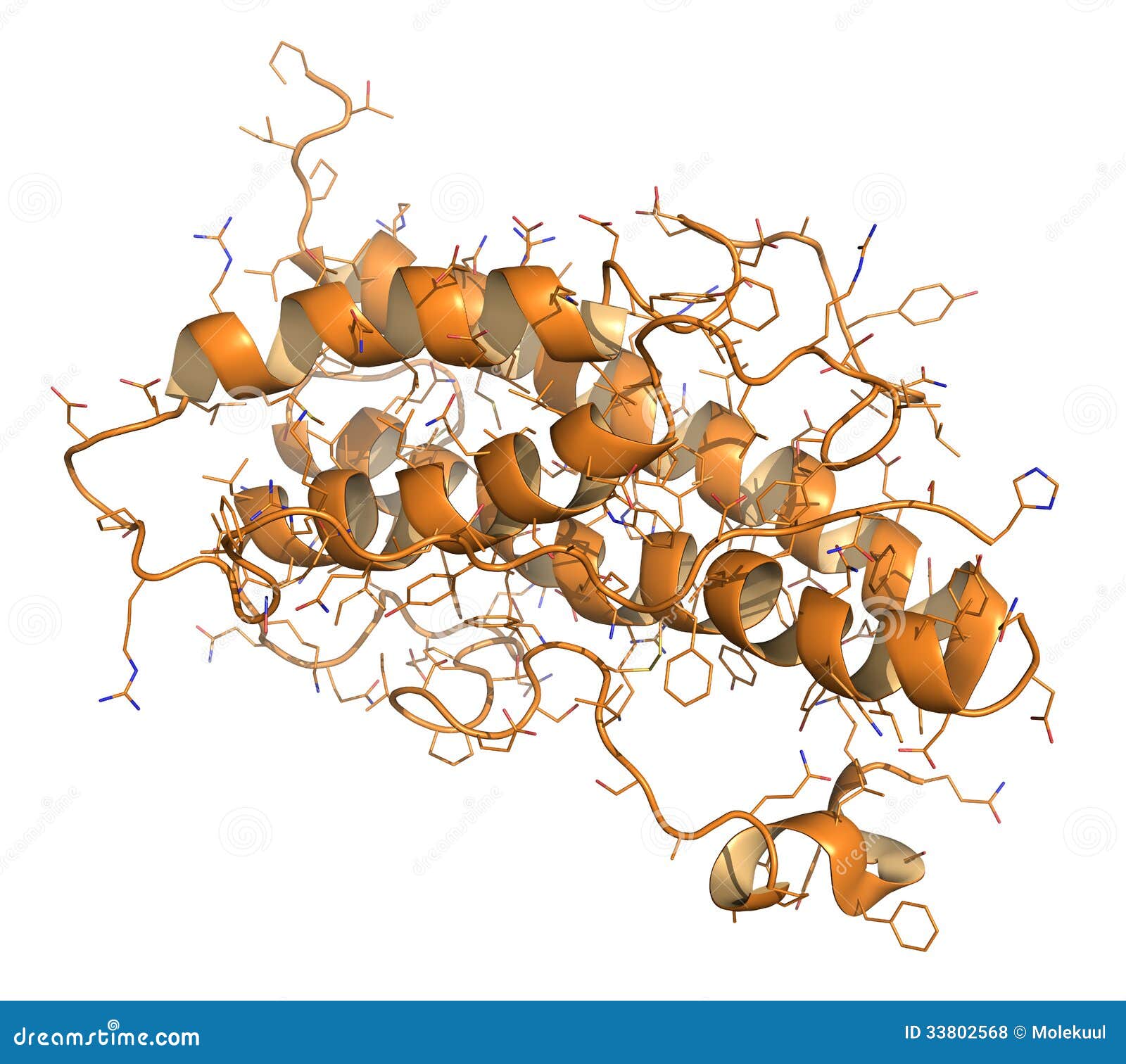 download the testis. biochemistry