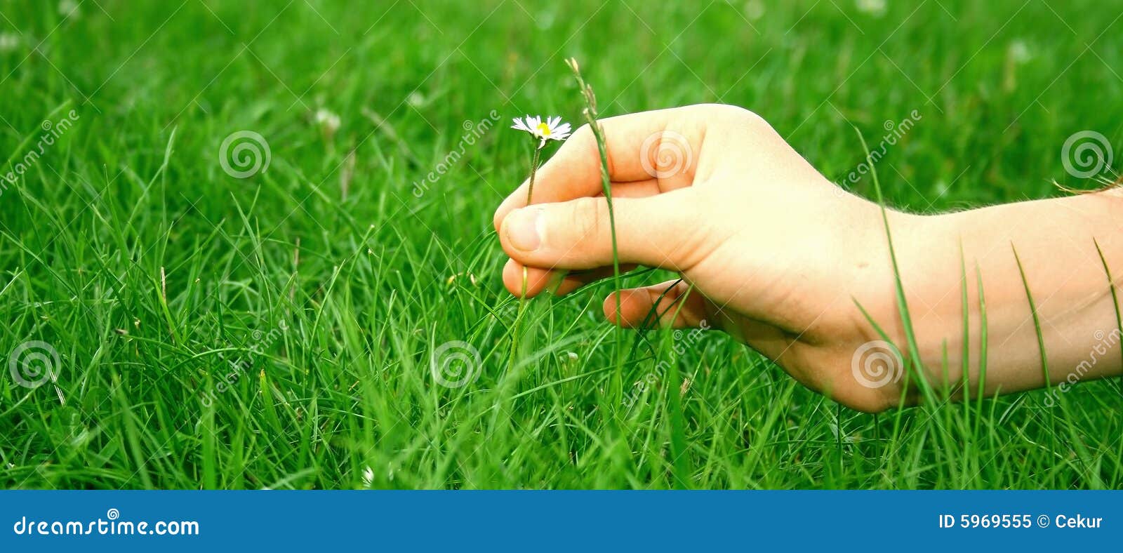 Close Up Of A Woman's Hand Touching The Saturated Grass, 'feeling Nature'  Stock Photo, Picture and Royalty Free Image. Image 43047099.