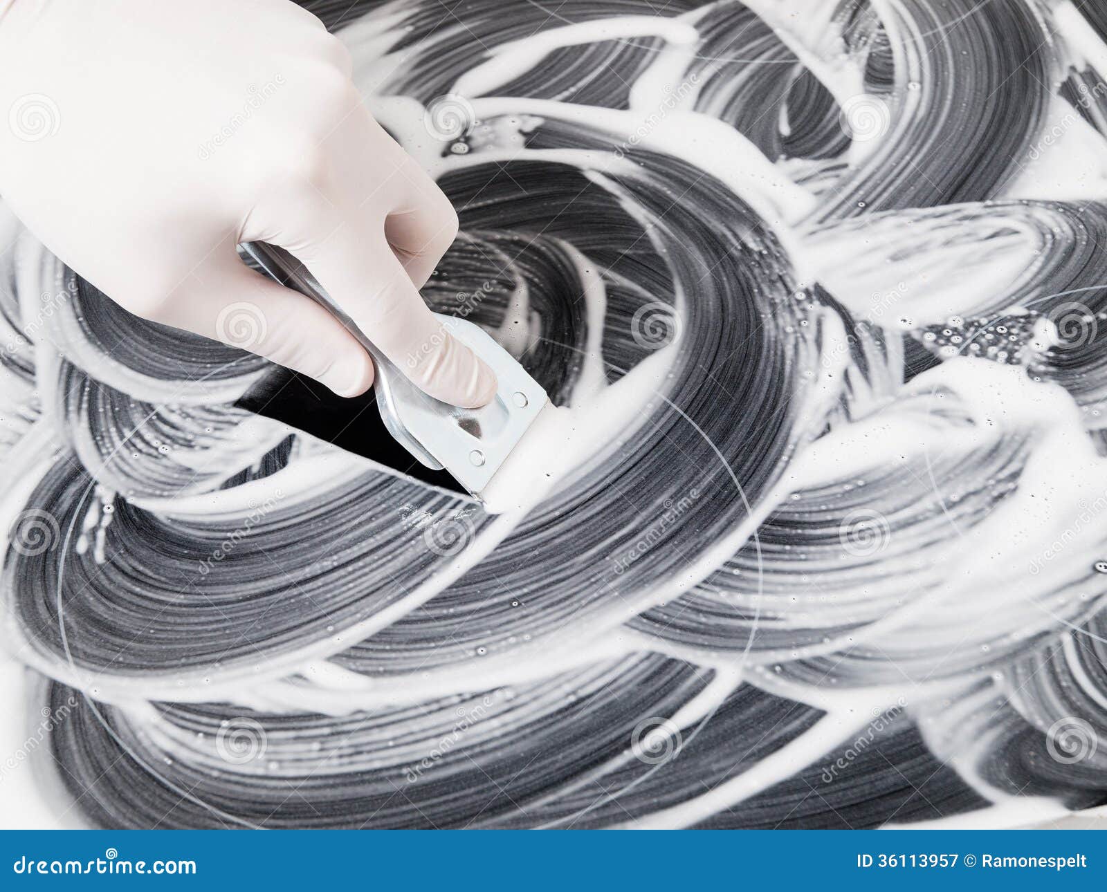 Human Hand Cleaning a Vitroceramic Stock Image Image of kitchen
