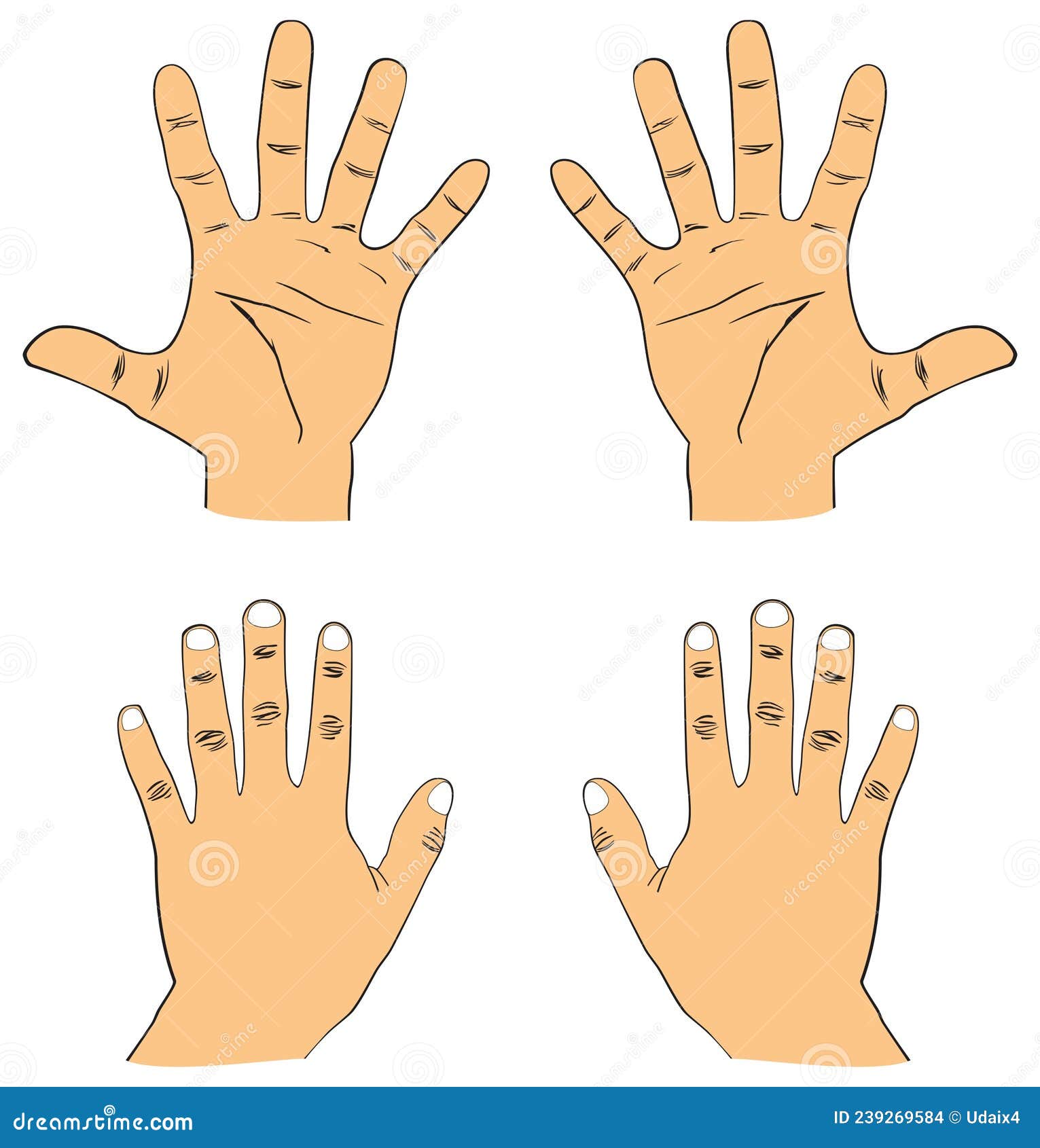 Fingers Names Stock Illustrations – 30 Fingers Names Stock Illustrations,  Vectors & Clipart - Dreamstime