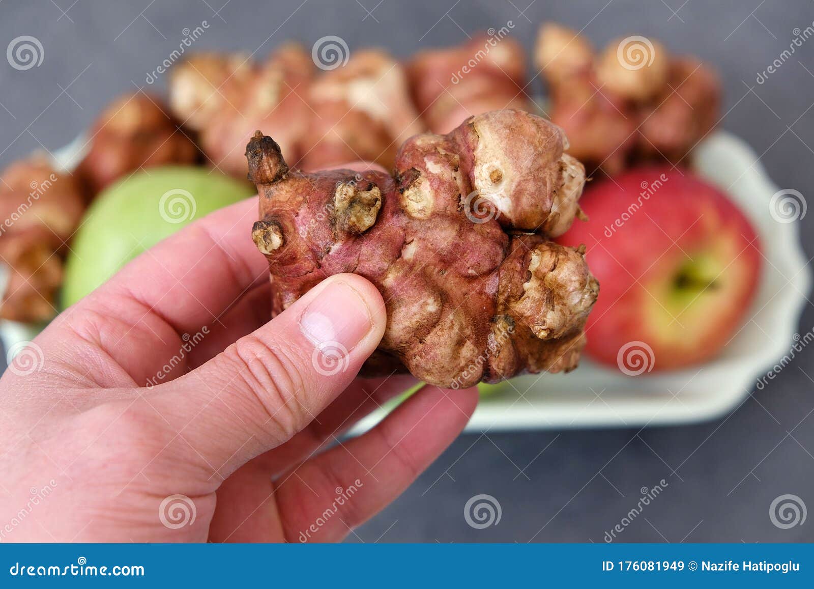 In a Human Hand, Jerusalem Artichoke Stock Image Image of helianthus
