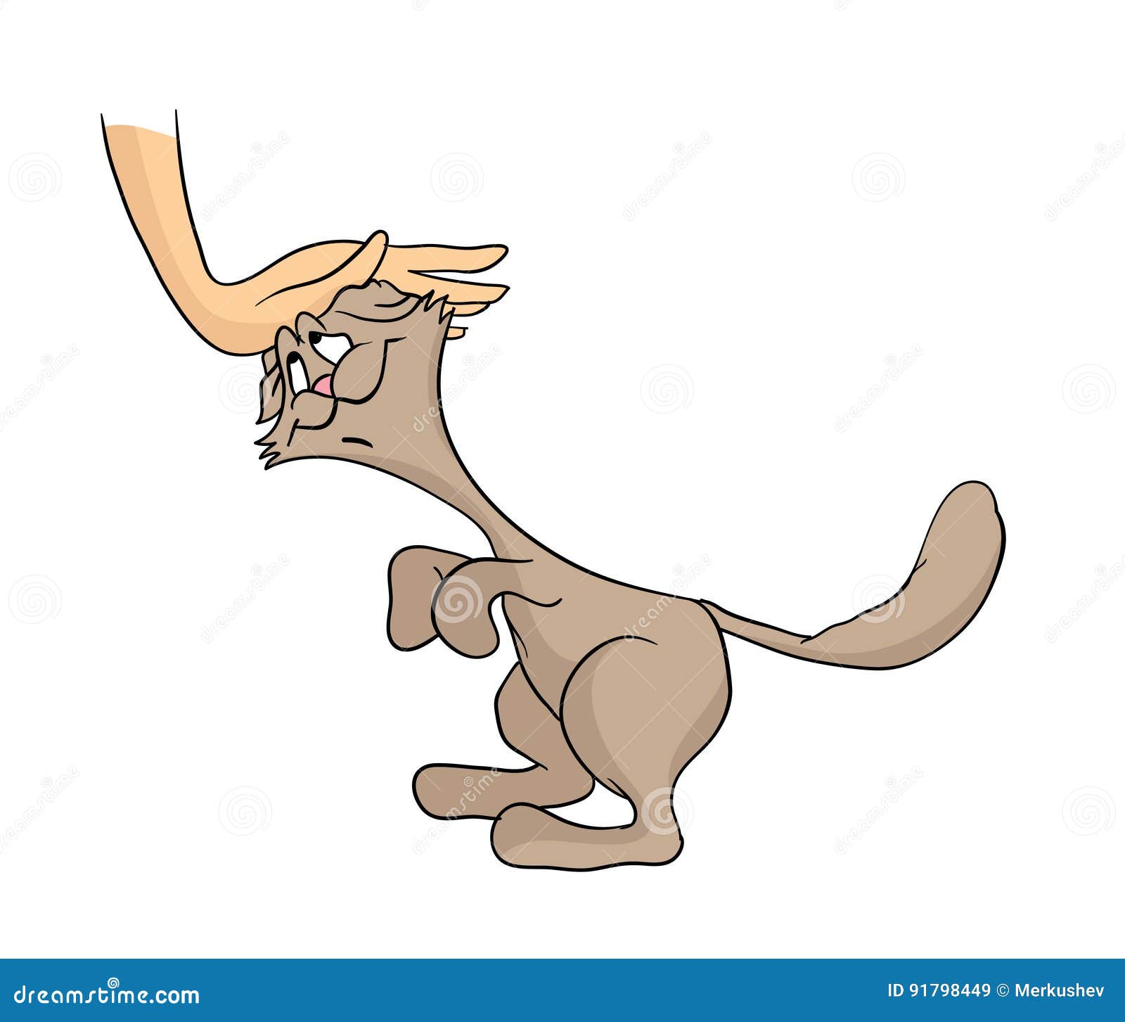 Human Hand Stroking Gentle Happy Cat. Cartoon Vector Illustration ...