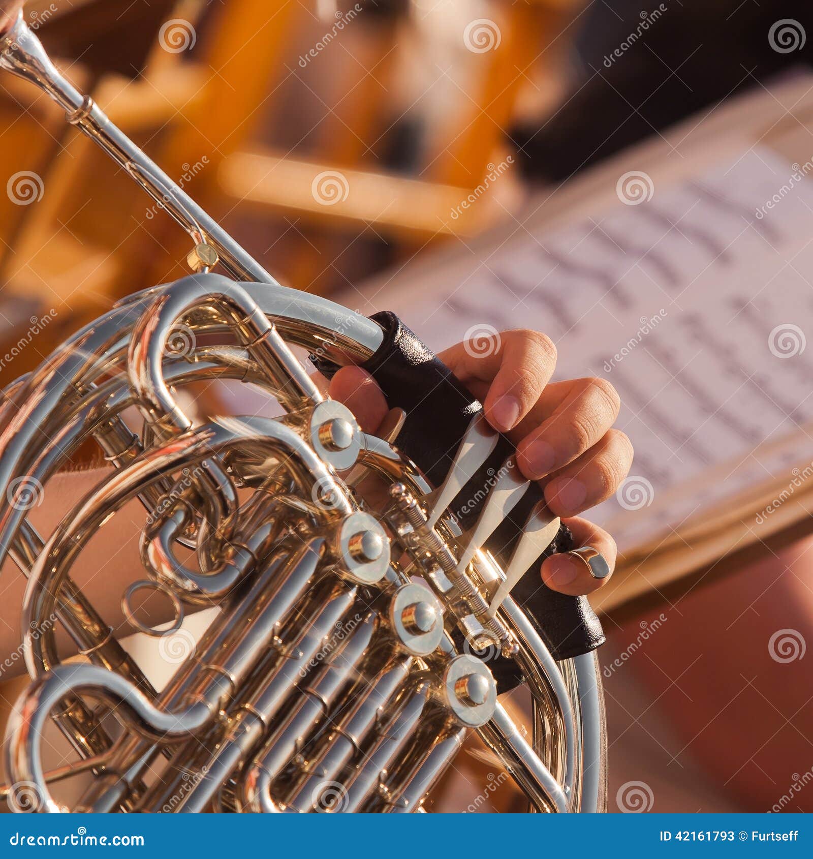 Human Hands Playing the French Horn Stock Image - Image of musician ...