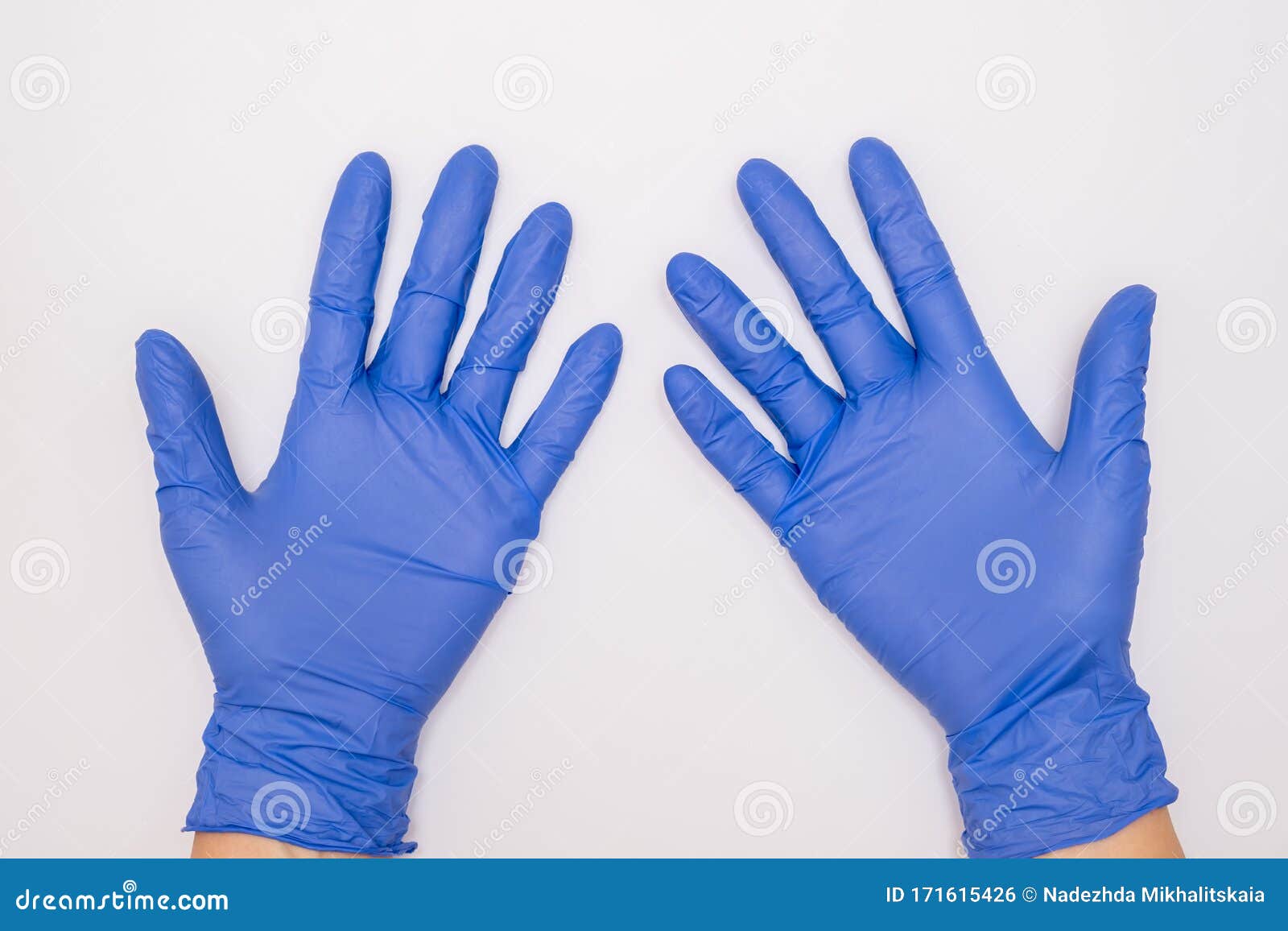 human hands wearing blue surgical latex nitrile gloves for doctor and nurse protection during patient examination on white