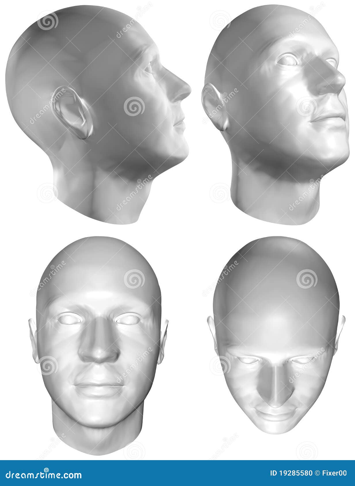 Free 3d Model Of Human Head