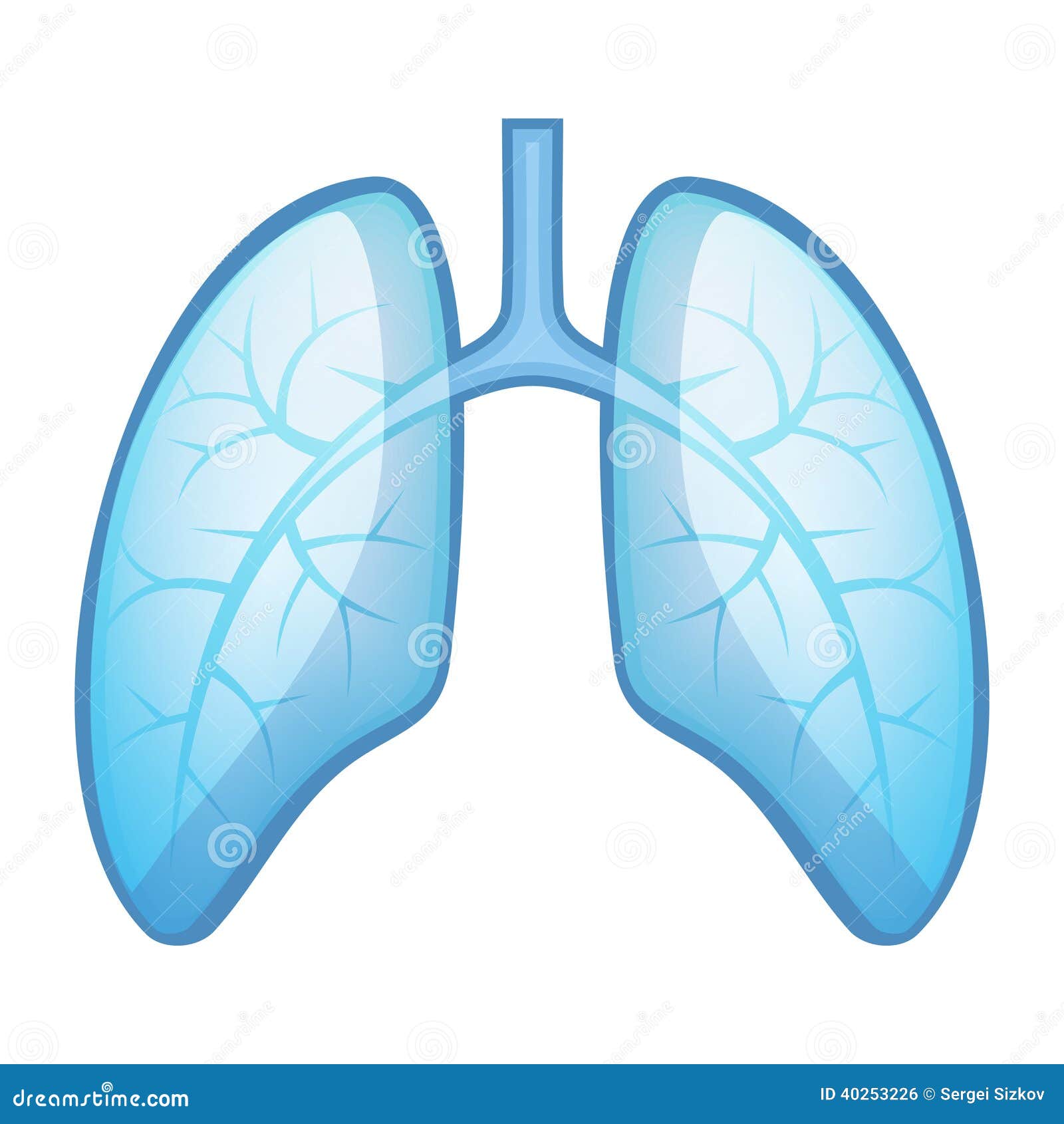 lungs clipart vector - photo #6