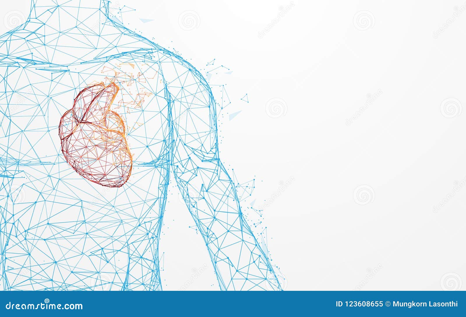 human heart anatomy form lines and triangles, point connecting network on blue background
