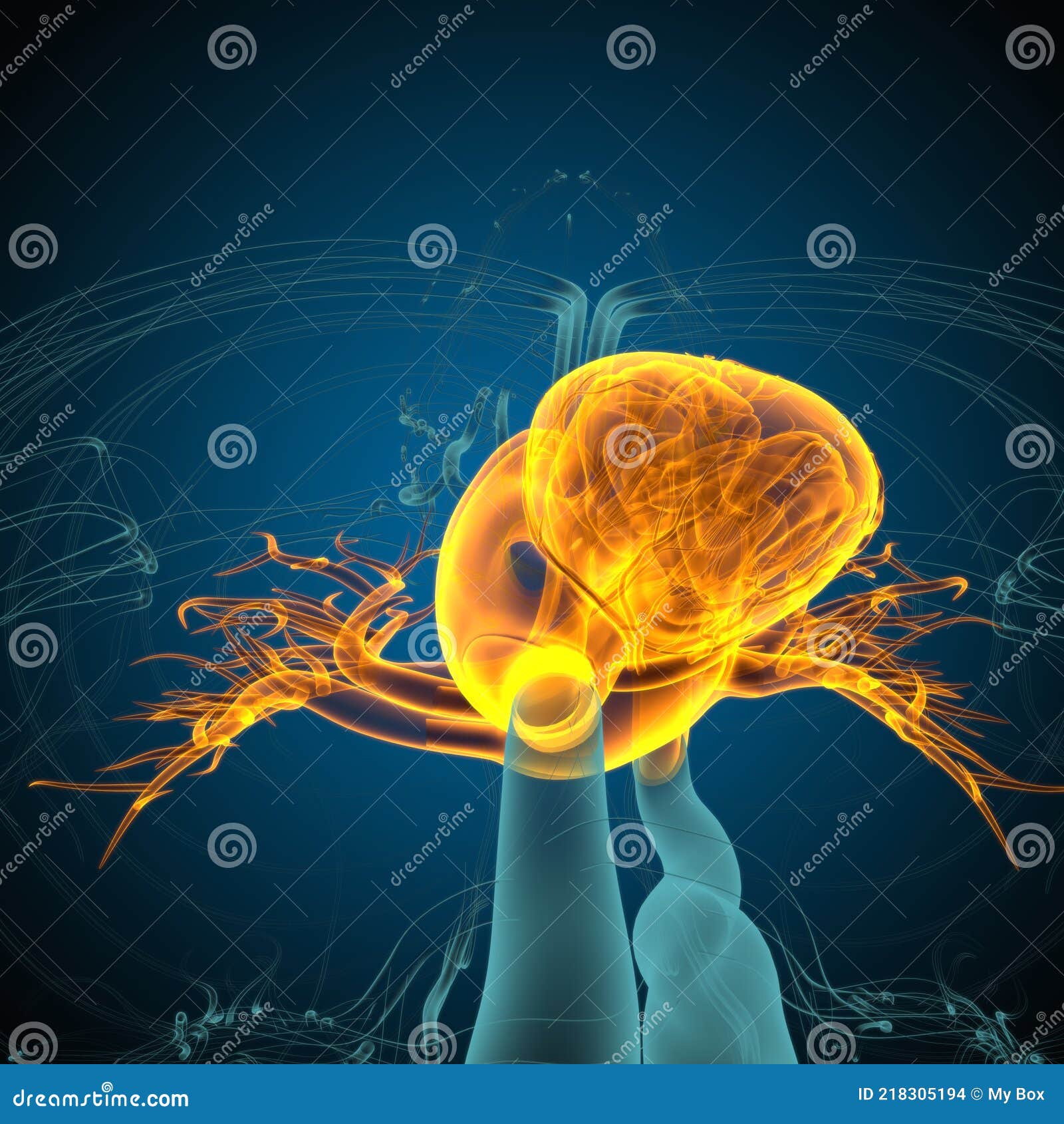 My Image 14