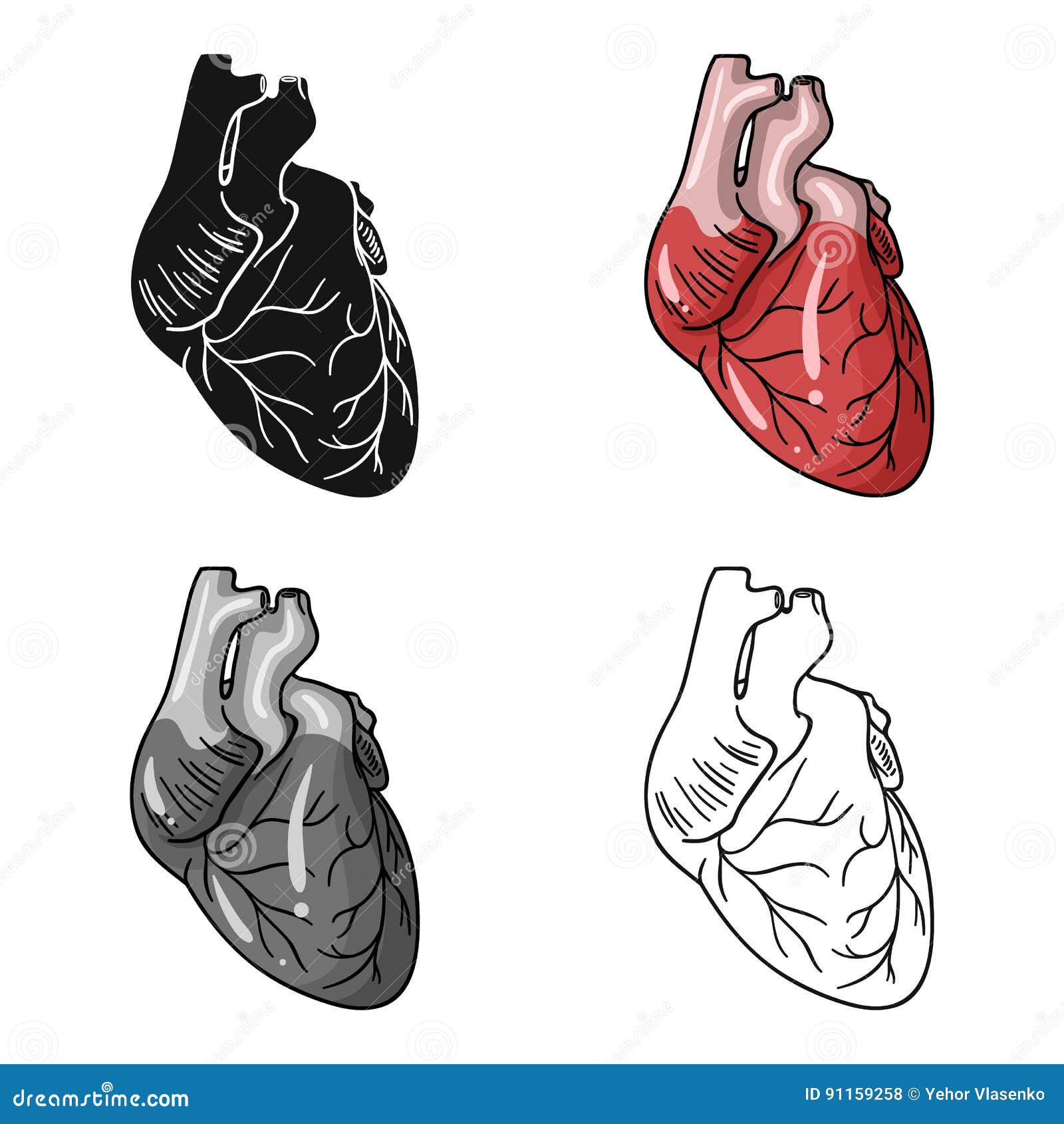Human Heart Icon in Cartoon Style Isolated on White Background. Human ...