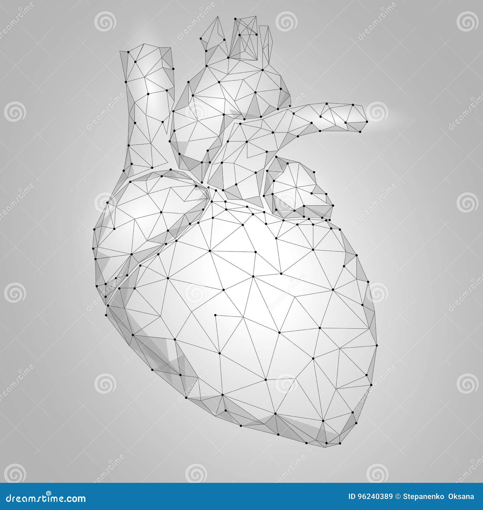 Human Heart Internal Organ Triangle Low Poly. Connected Dots White Gray